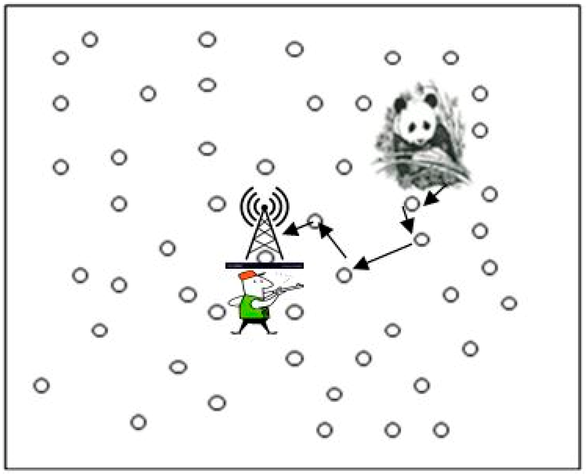 Sensors 19 02050 g003