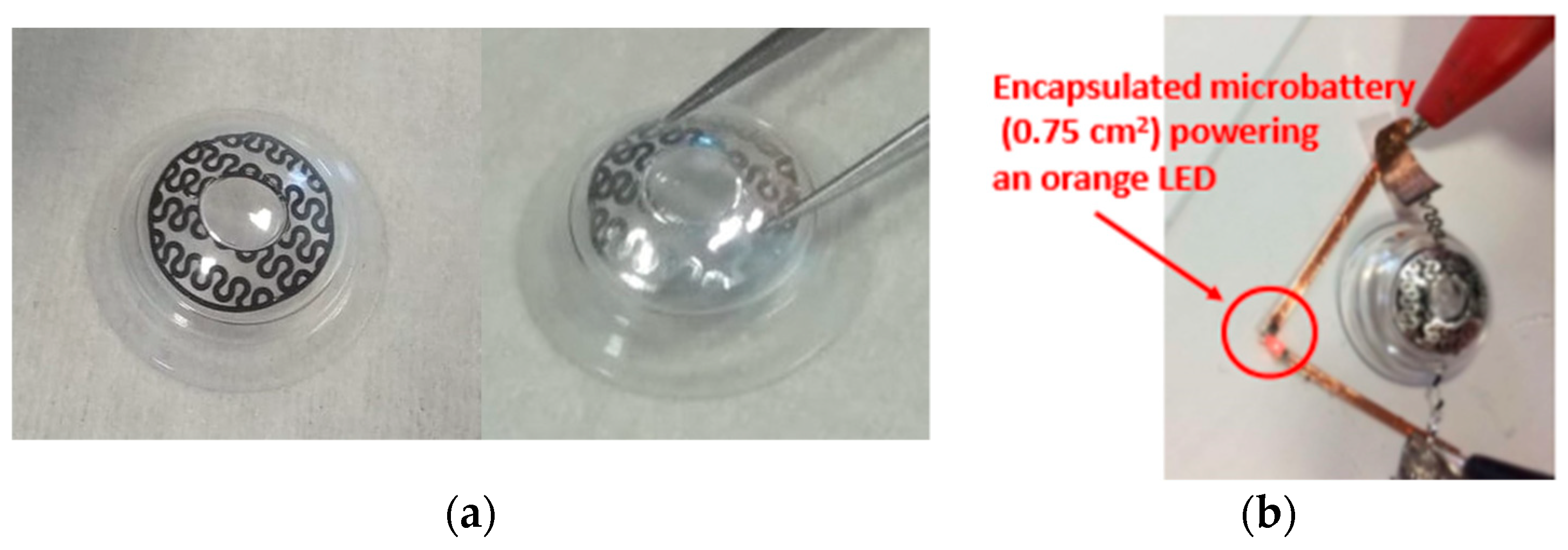 Sensors 19 02062 g004 Sensors 19 02062 g004