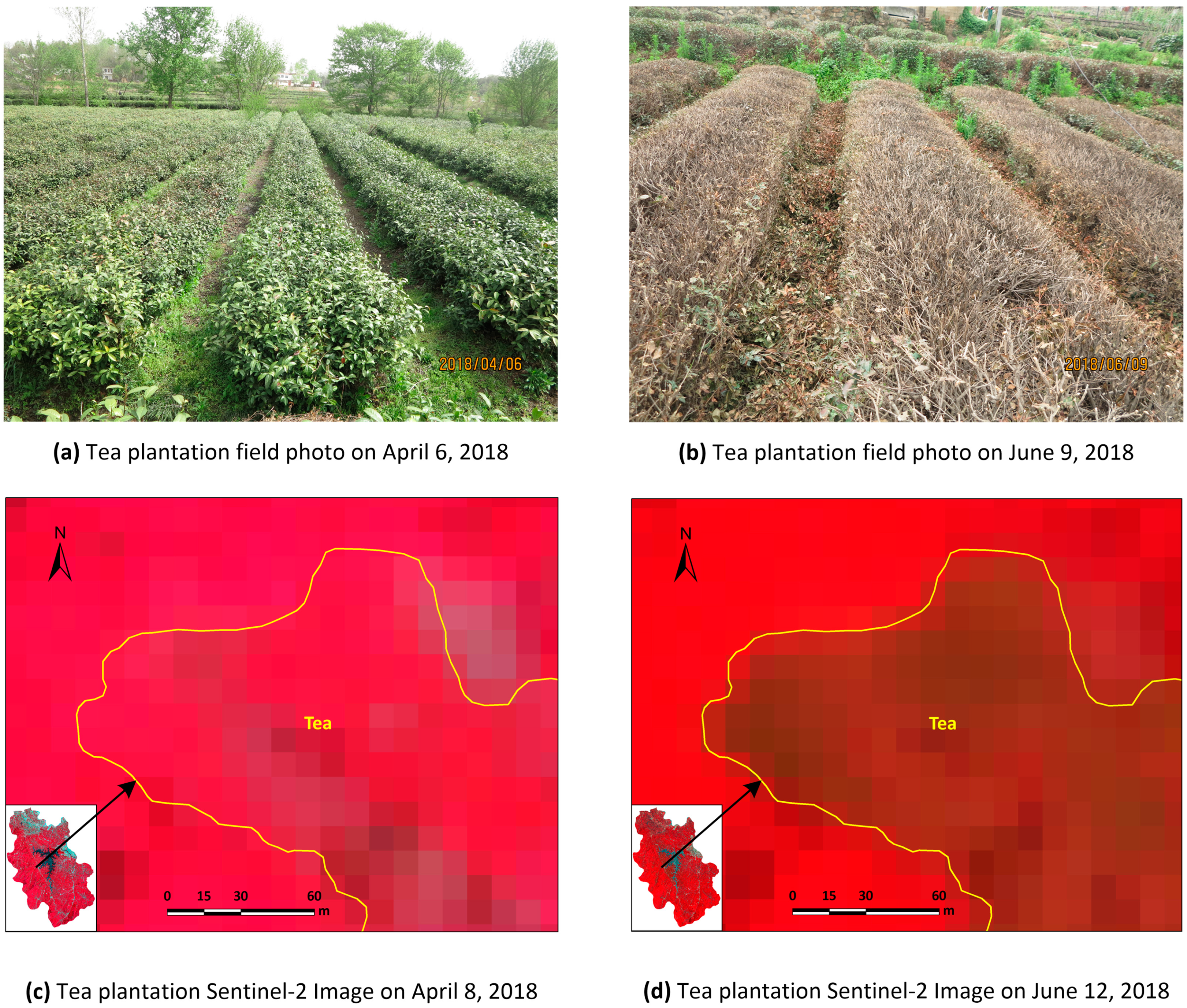 Sensors 19 02087 g003 550