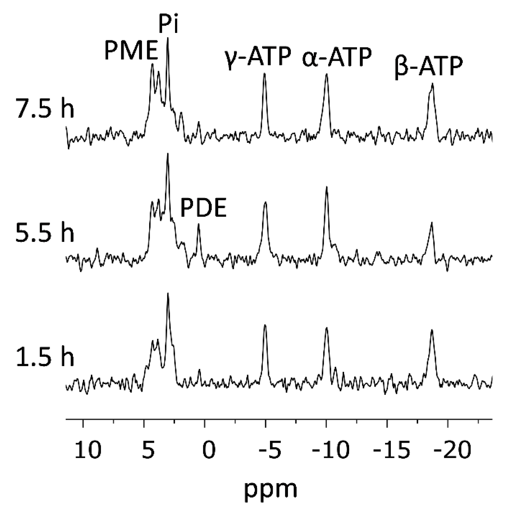 Sensors 19 02089 g002 Sensors 19 02089 g002