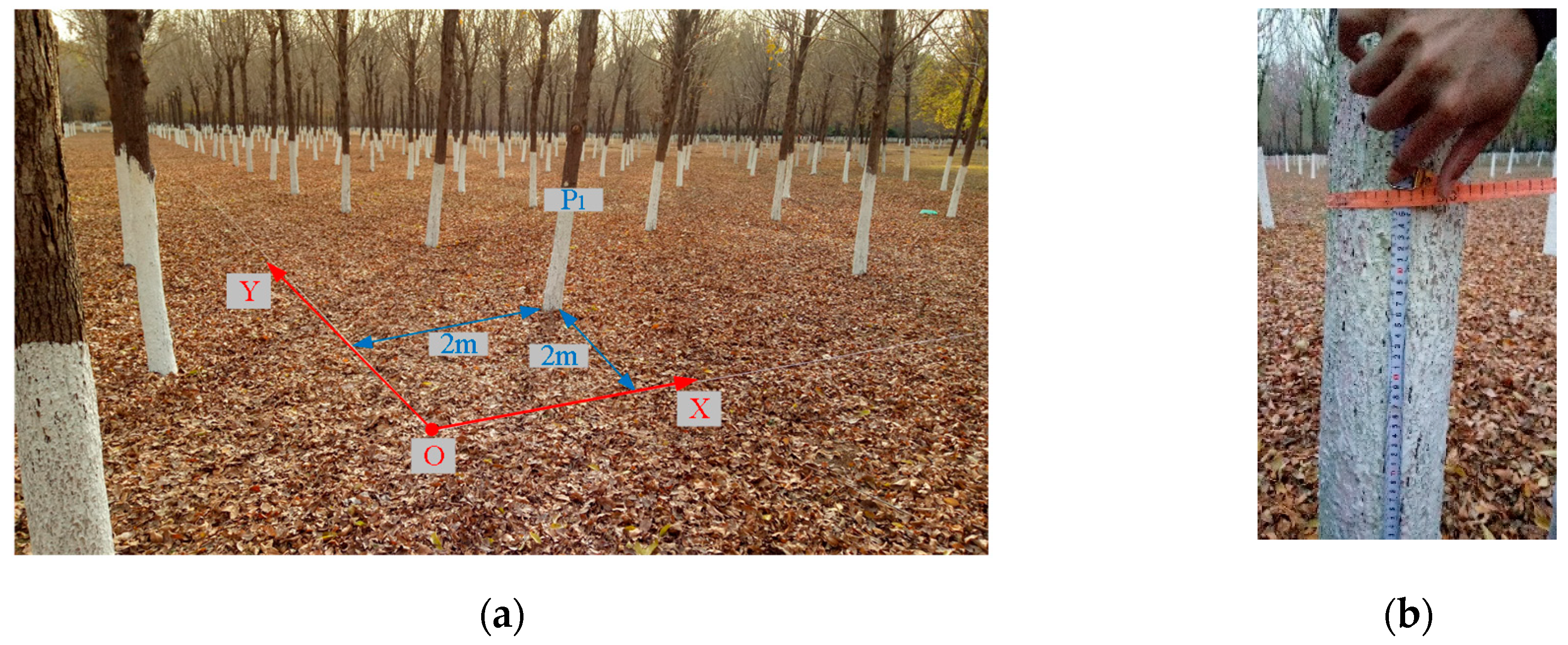 Sensors 19 02136 g011 550
