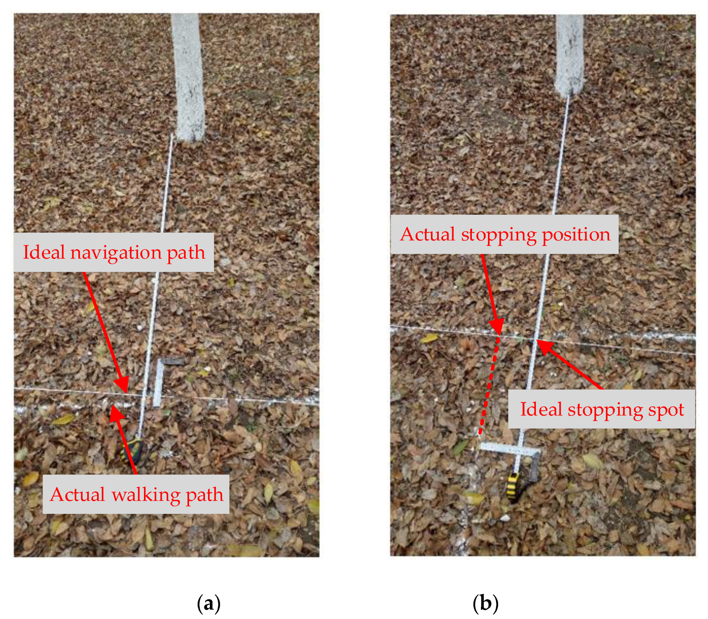 Sensors 19 02136 g012 550