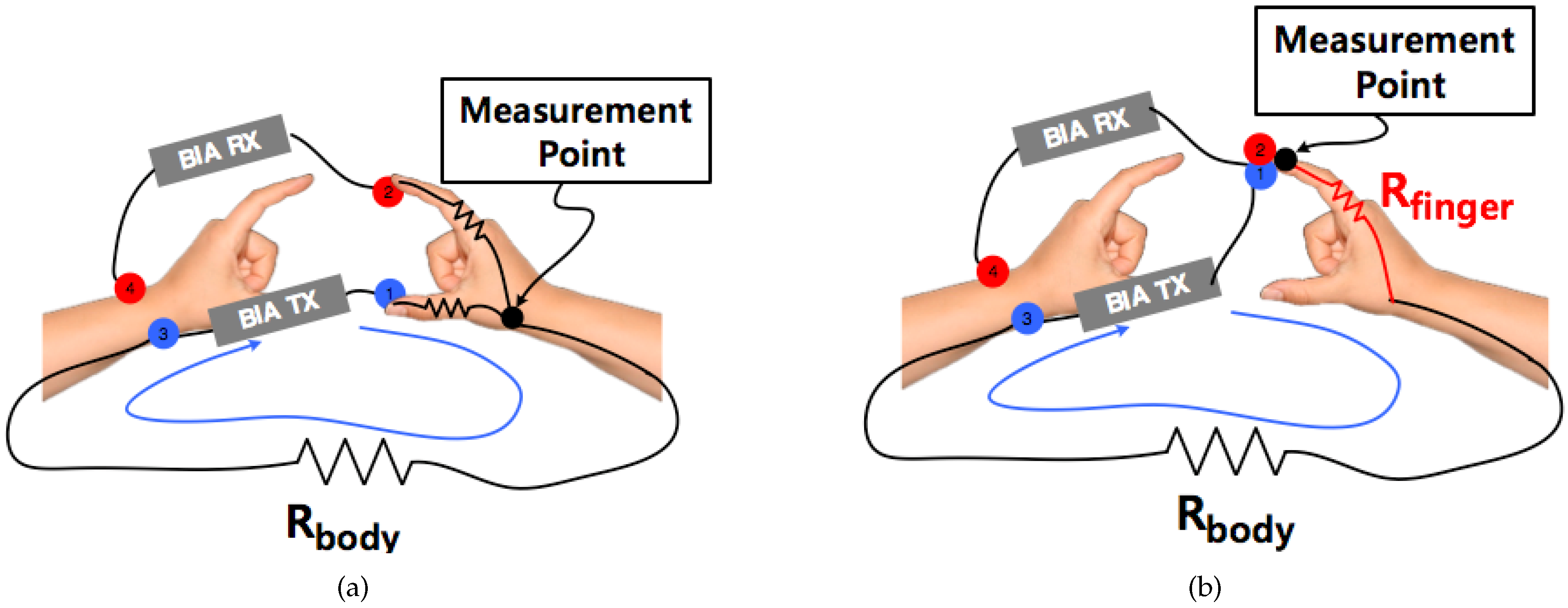 Bodecoder Body Analysis Device Bluetooth BIA Scale 8 electrode Body