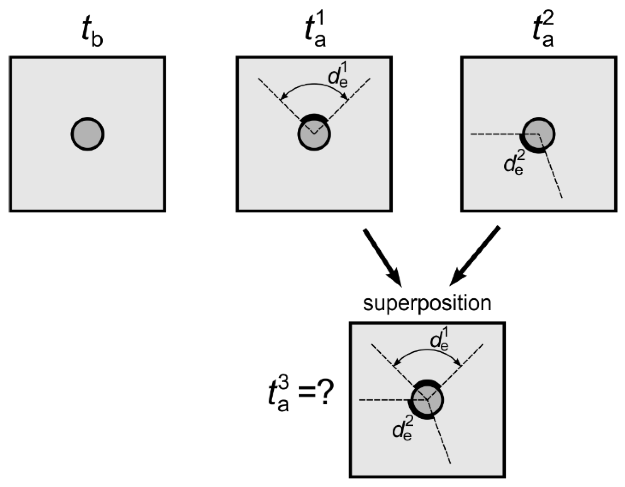 Sensors 19 02199 g013