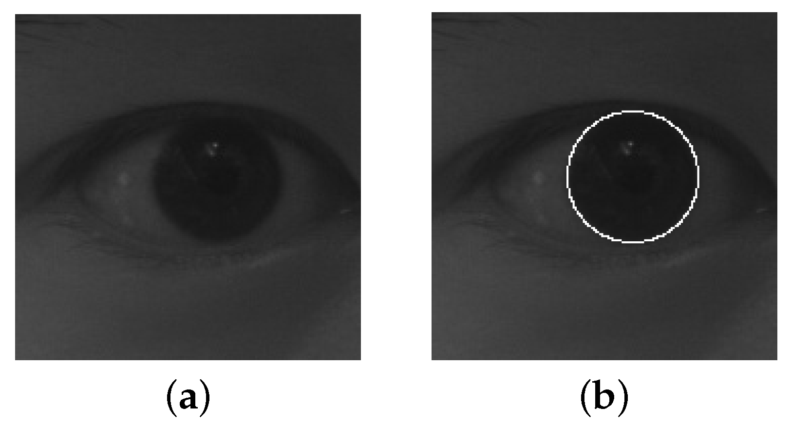 Sensors 19 02217 g002
