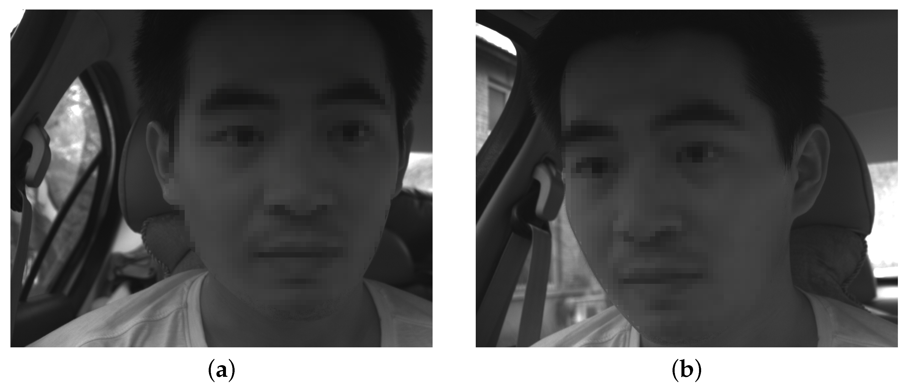 Sensors 19 02217 g012