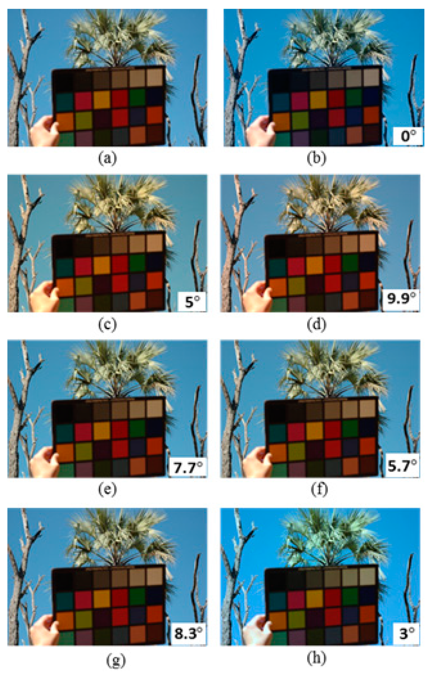 Sensors 19 02242 g003