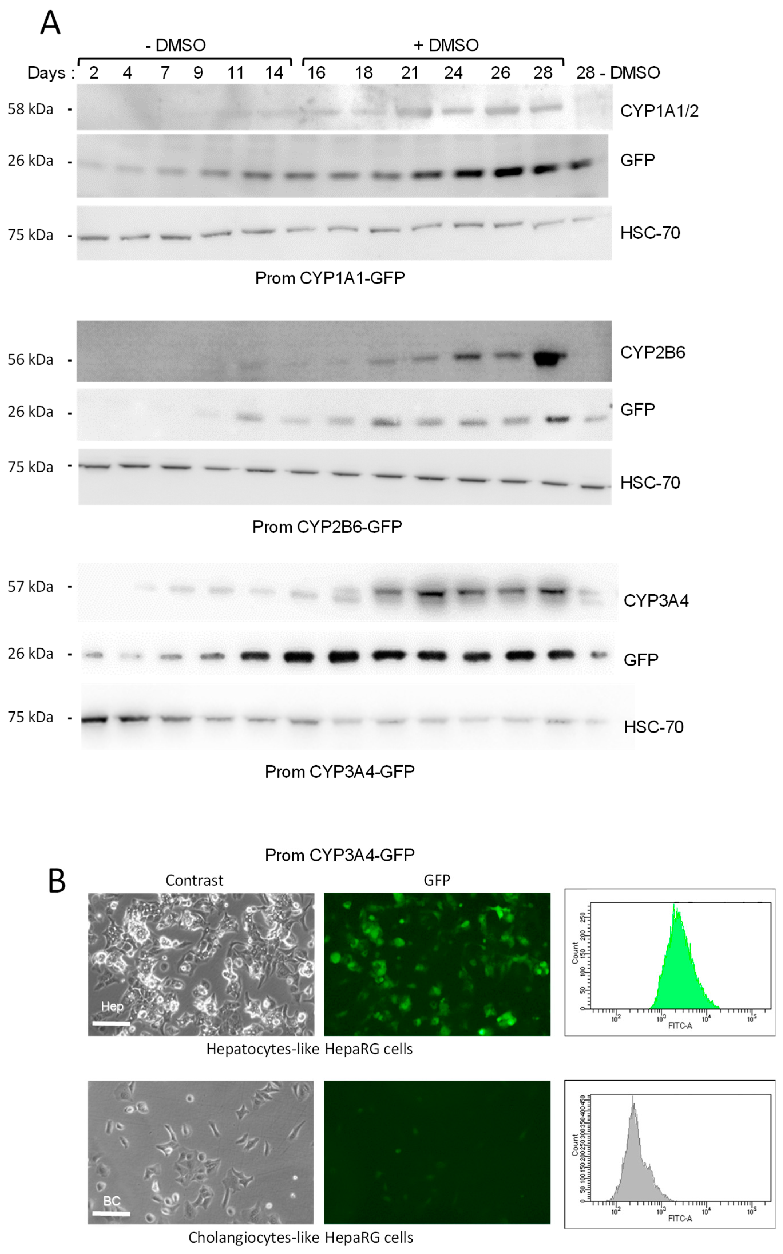 Sensors 19 02245 g003 Sensors 19 02245 g003