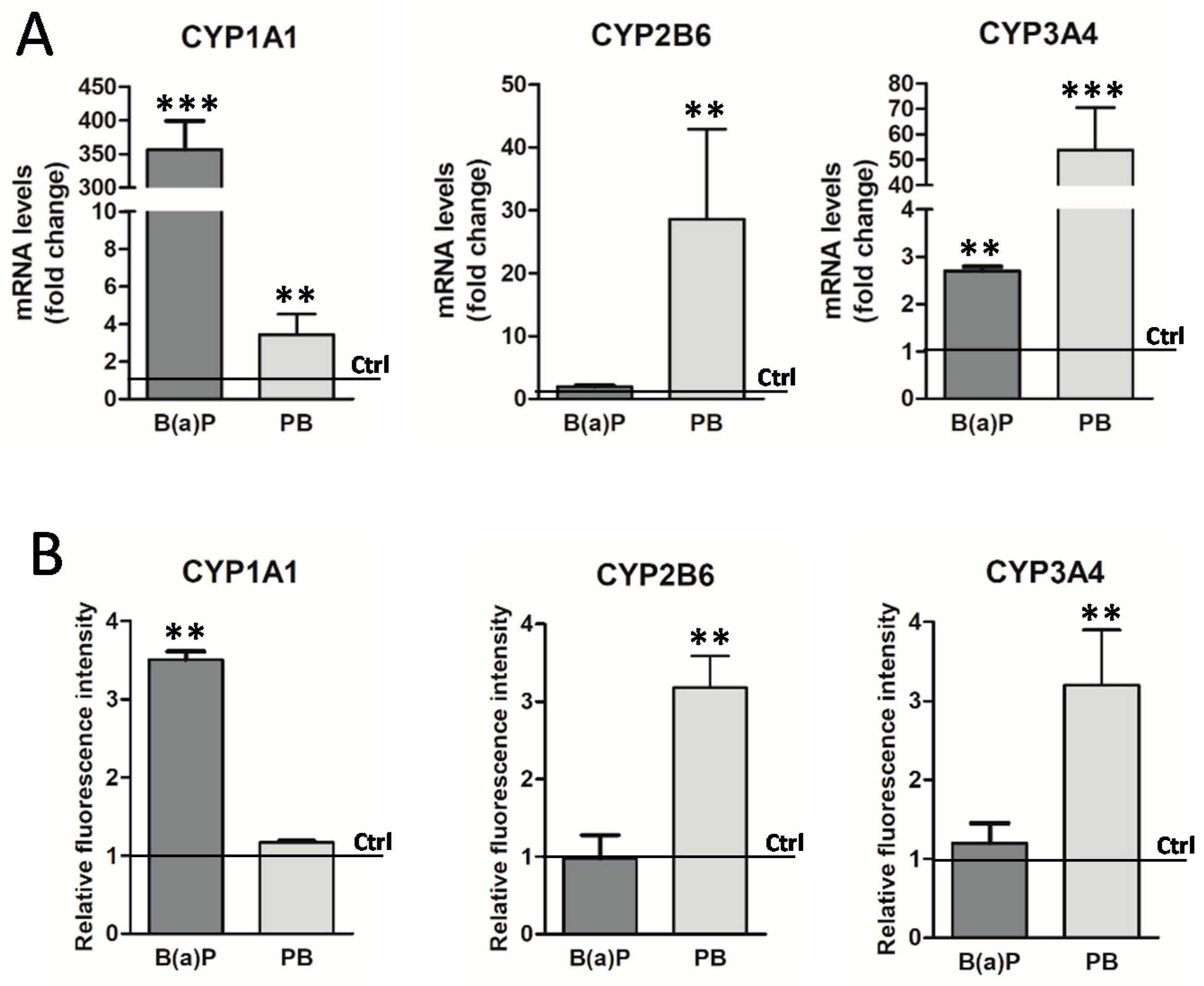 Sensors 19 02245 g004 Sensors 19 02245 g004