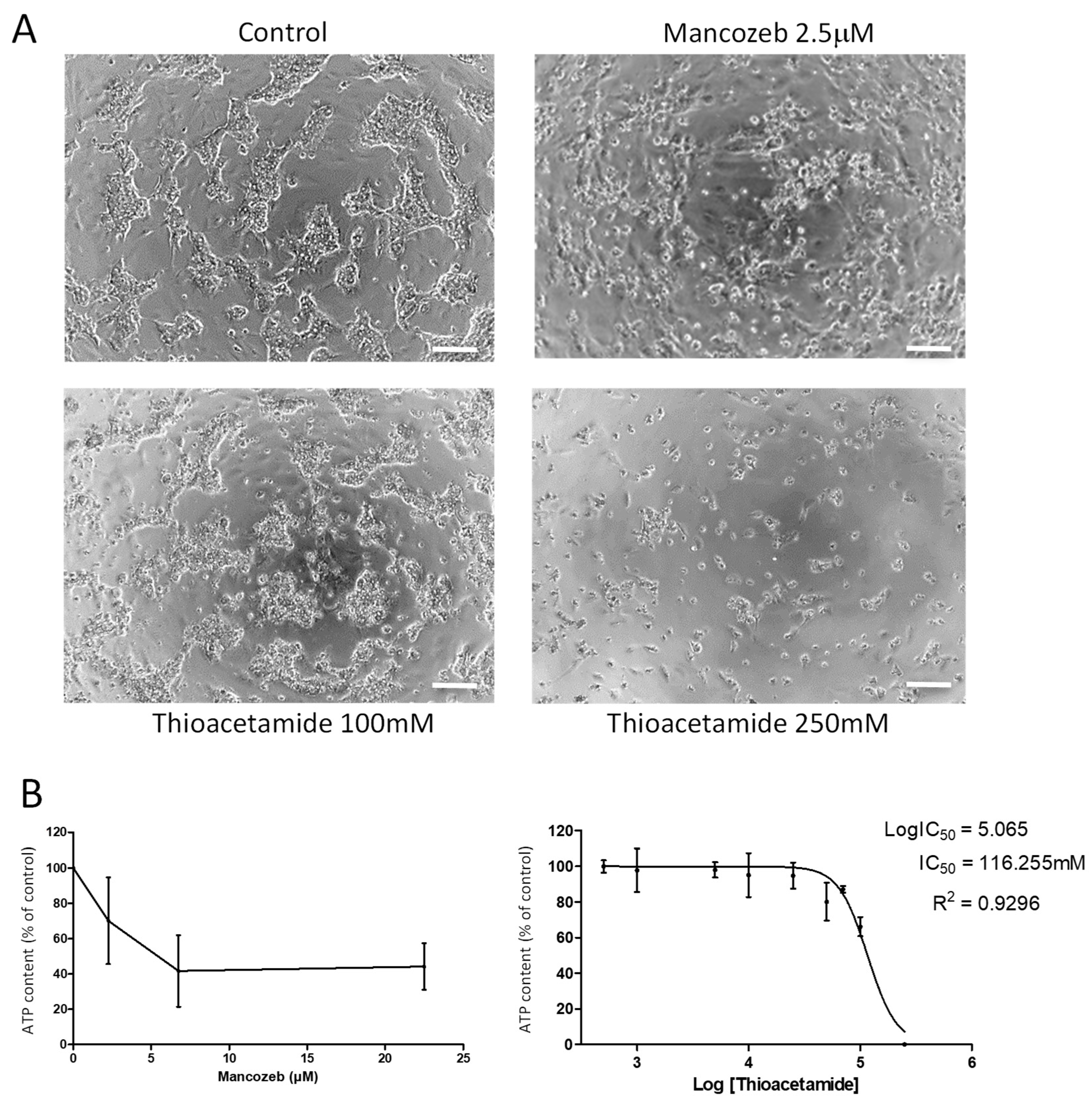 Sensors 19 02245 g005 Sensors 19 02245 g005