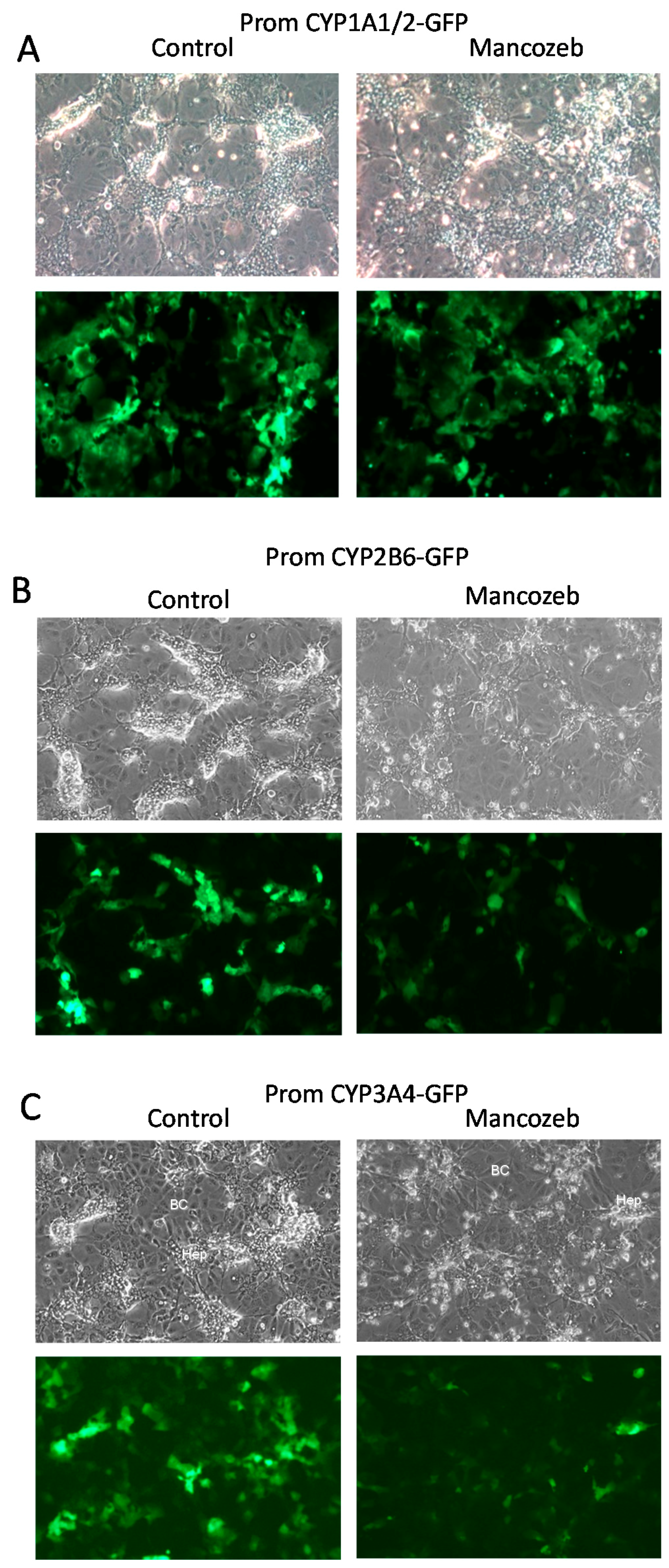 Sensors 19 02245 g006 Sensors 19 02245 g006