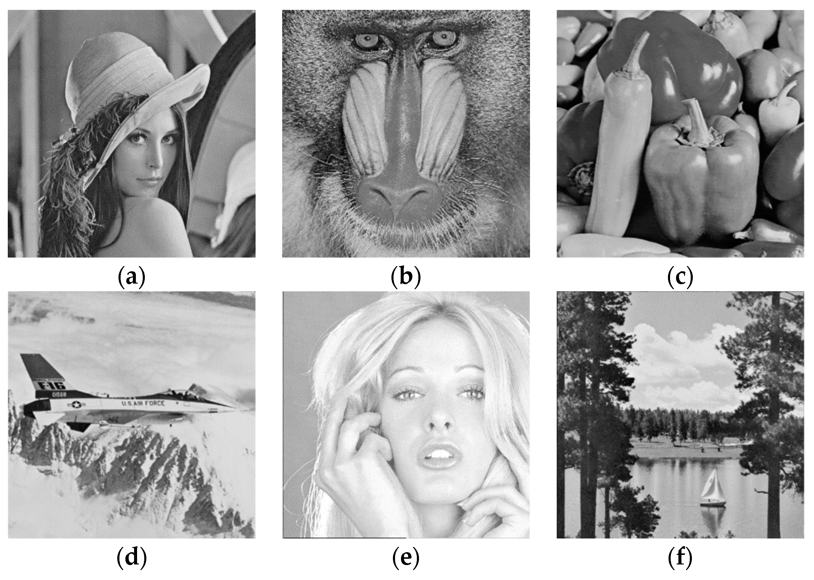 Sensors 19 02267 g006