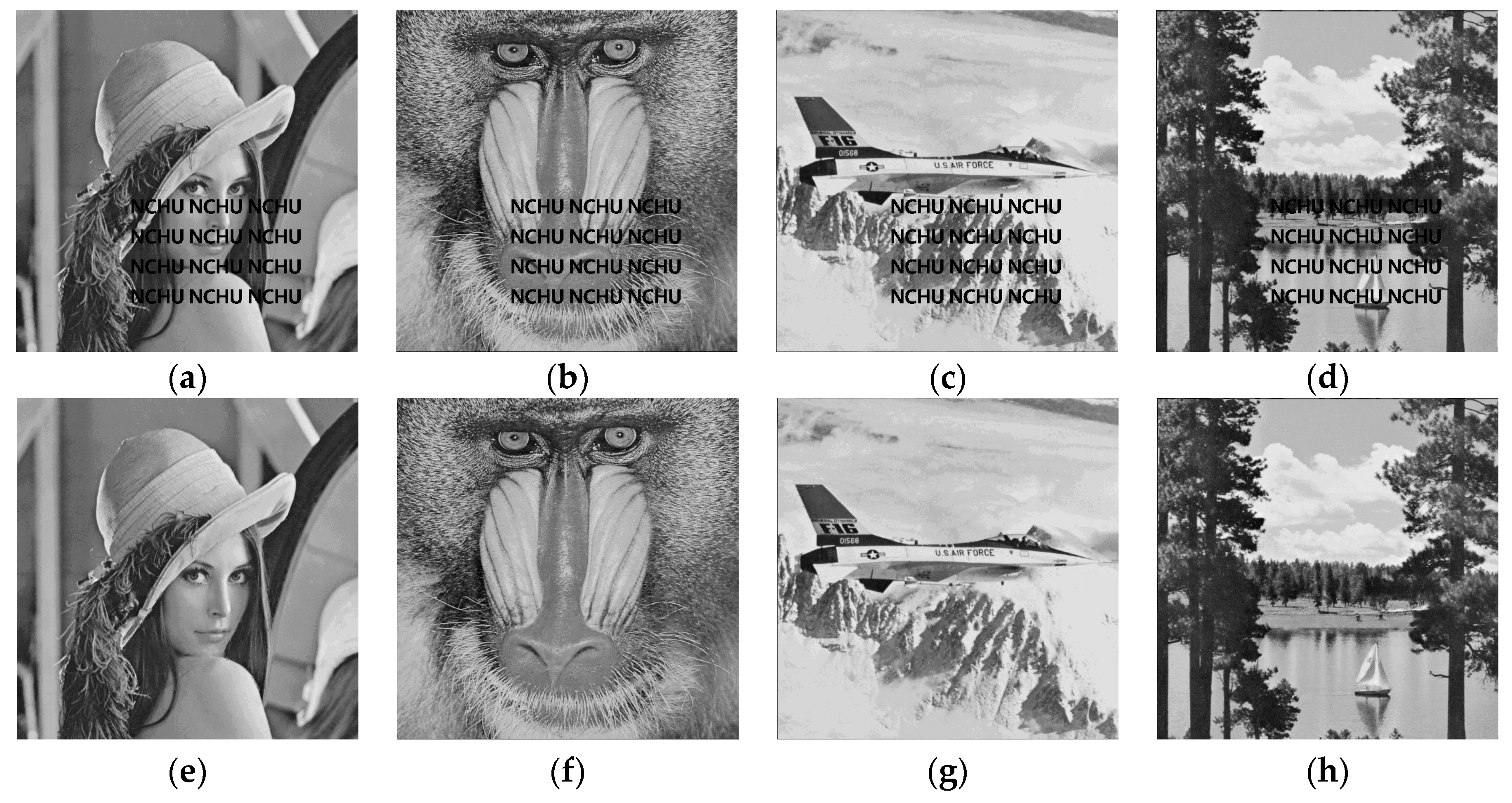 Sensors 19 02267 g009