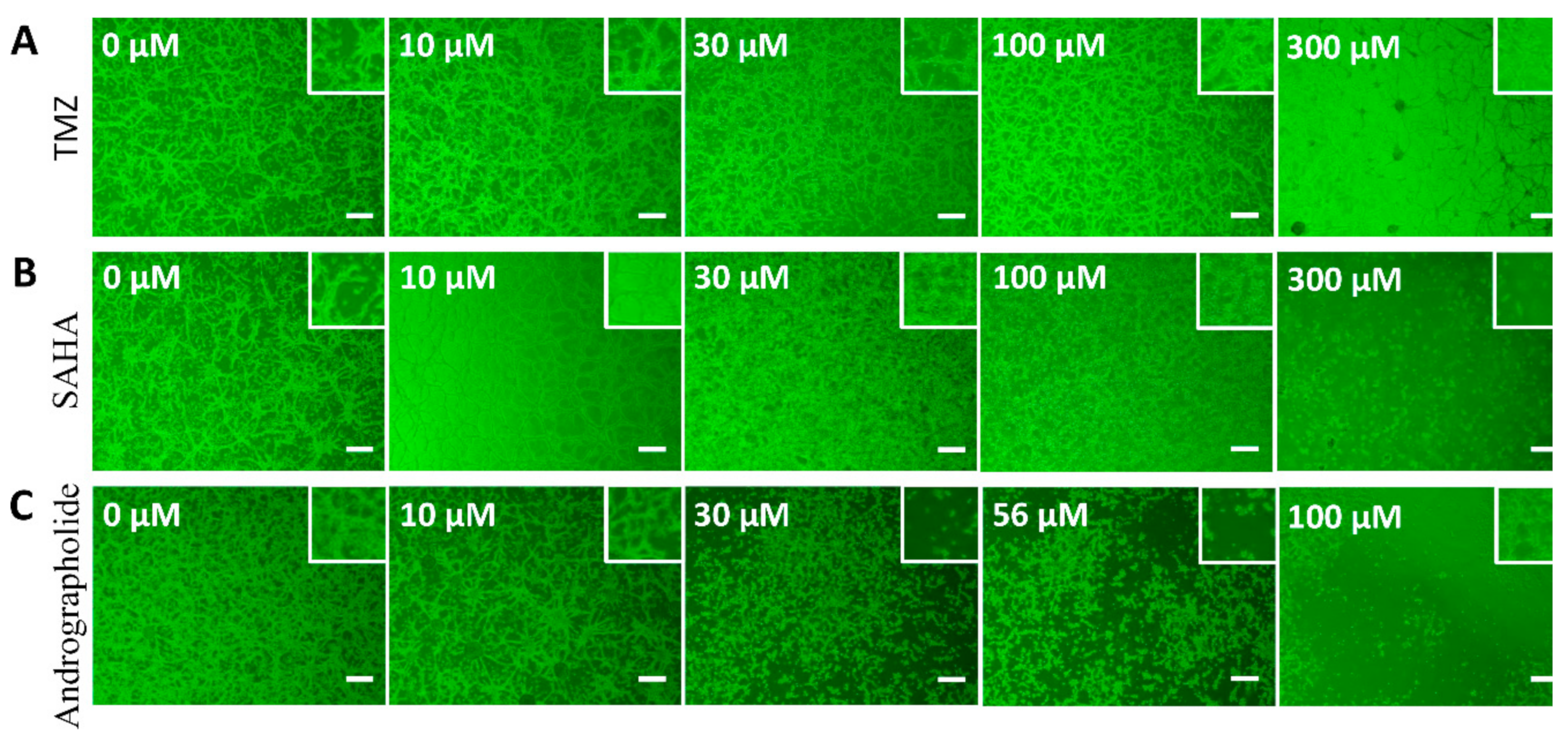 Sensors 19 02275 g001 Sensors 19 02275 g001