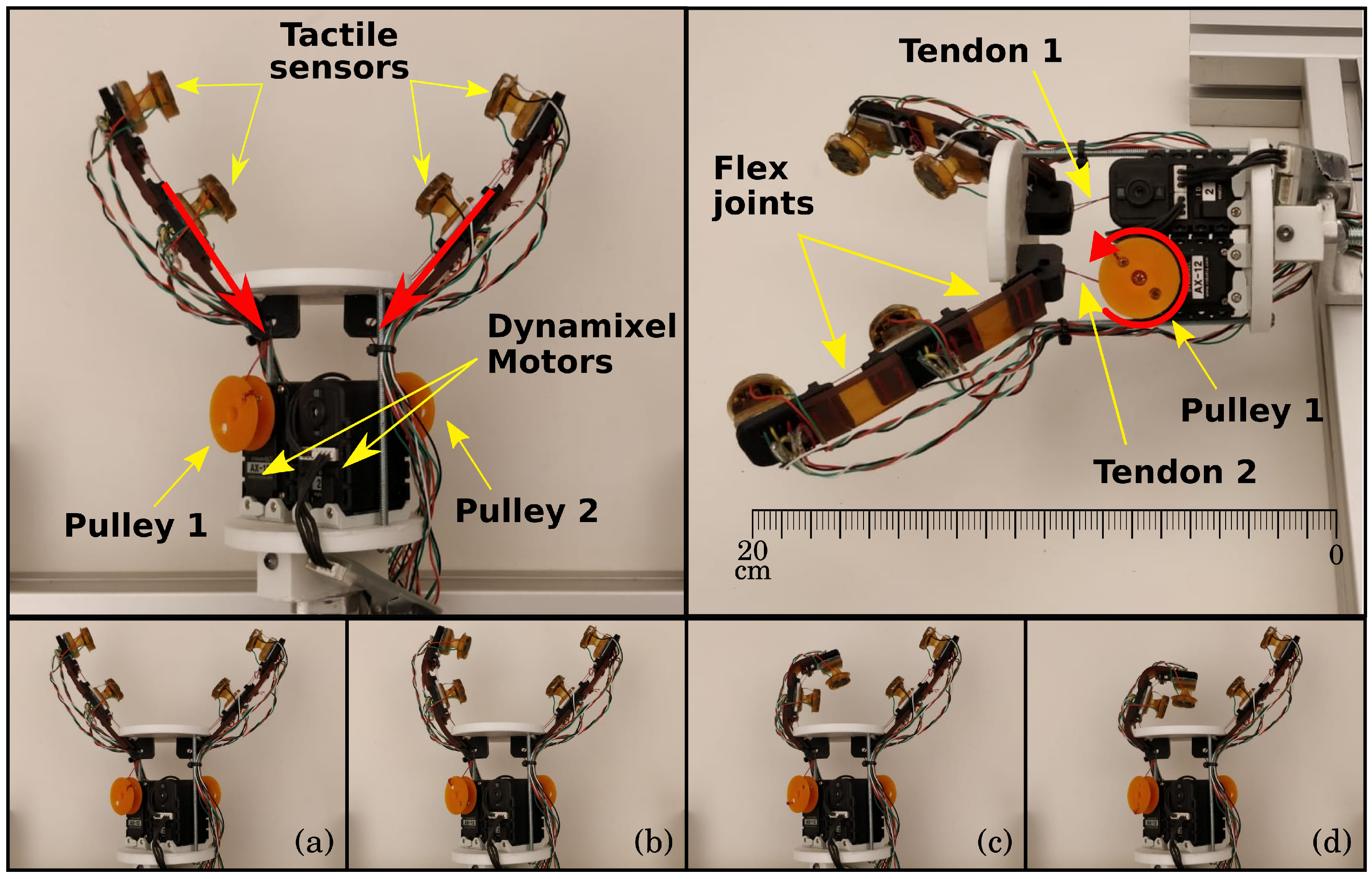 Sensors 19 02285 g002