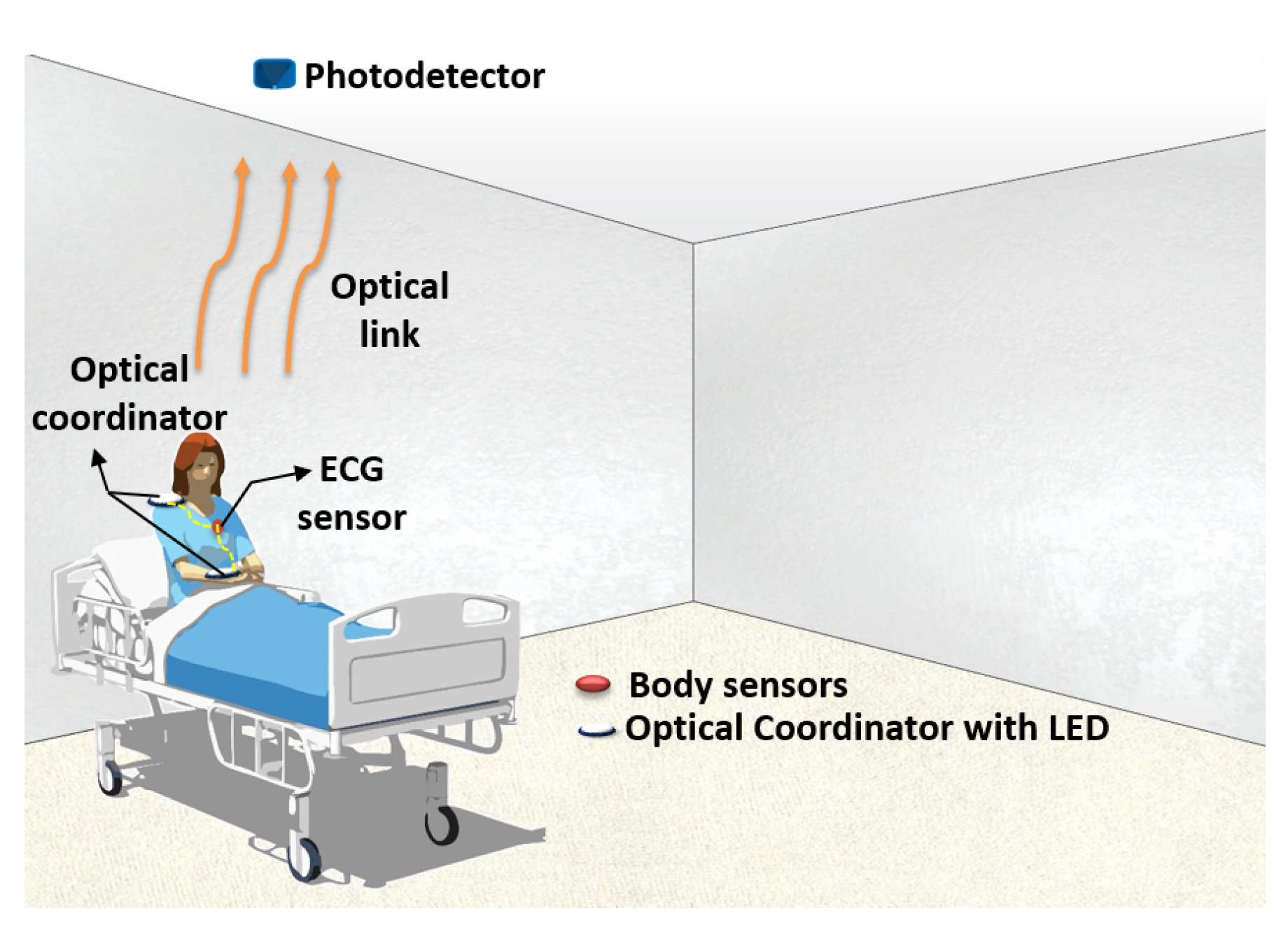 Sensors 19 02297 g001 550