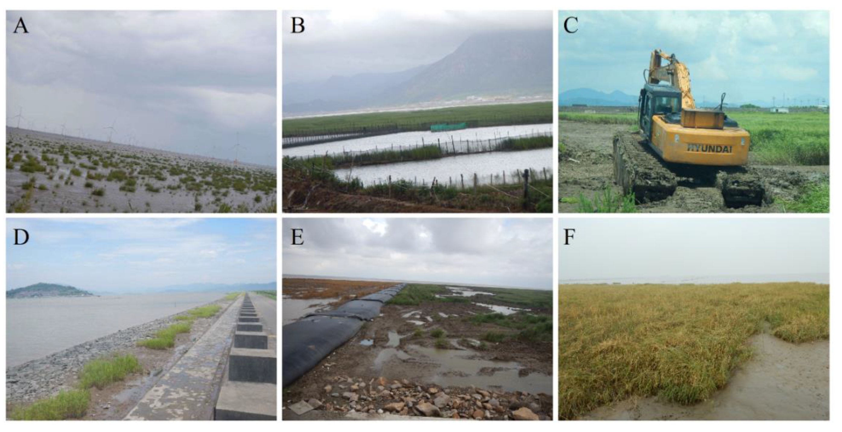 Sensors 19 02308 g006