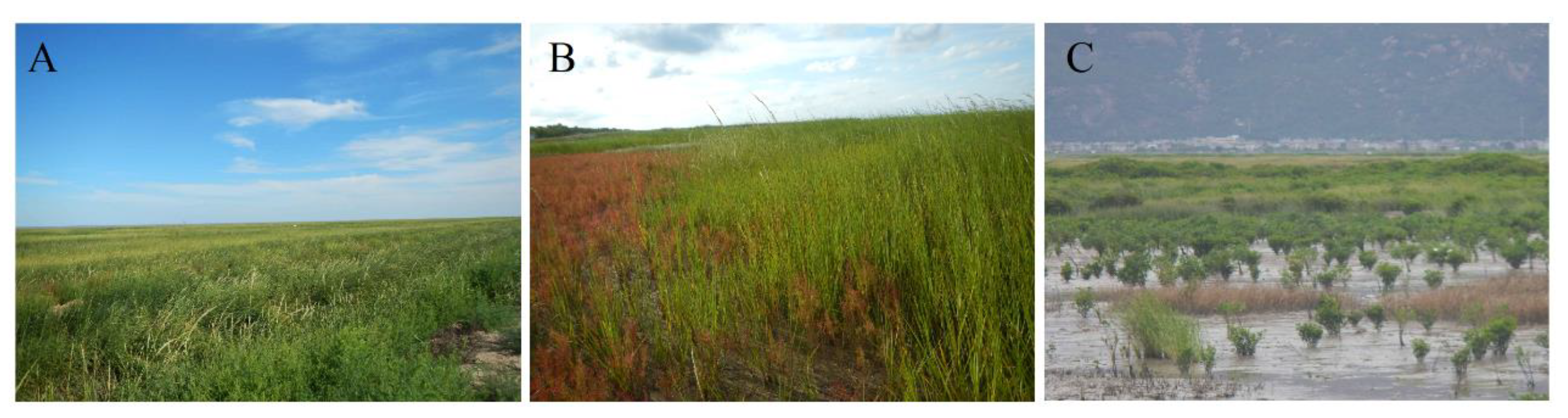 Sensors 19 02308 g008