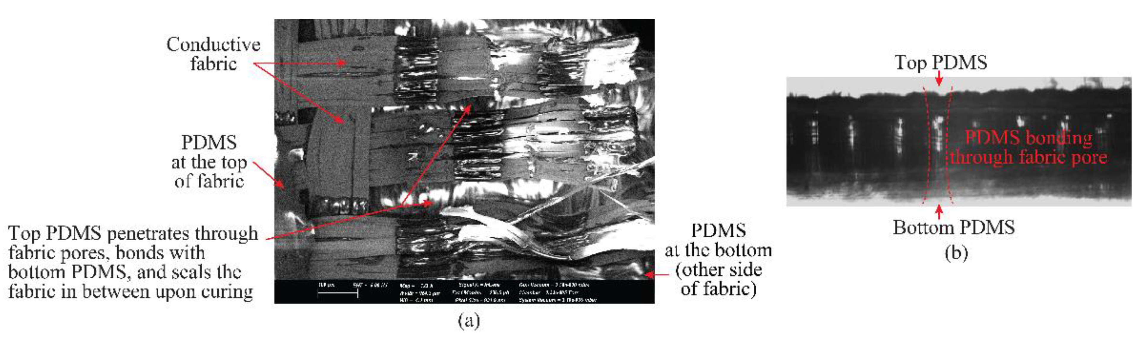 Sensors 19 02312 g005 Sensors 19 02312 g005