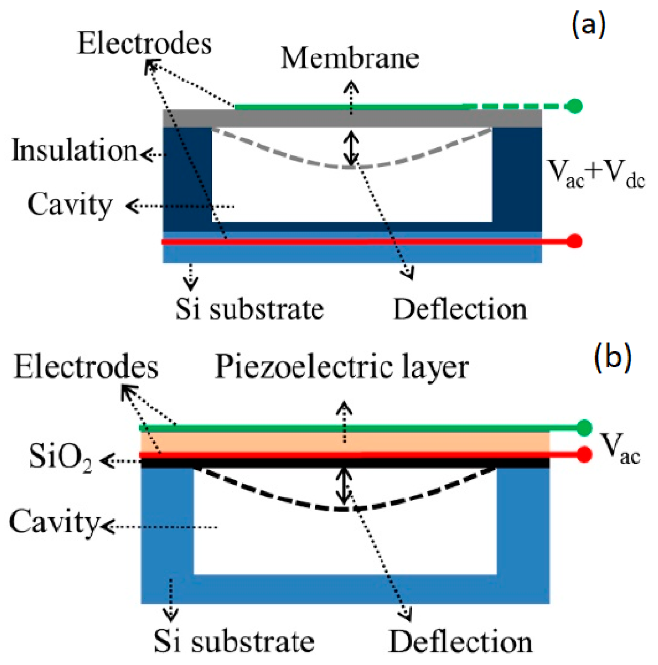 Sensors | Free Full-Text | Ultrasound Systems for Biometric Recognition