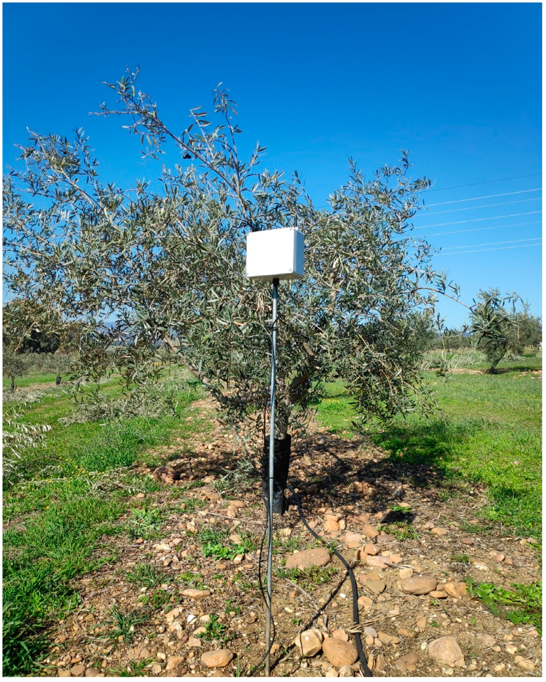 Sensors 19 02318 g010