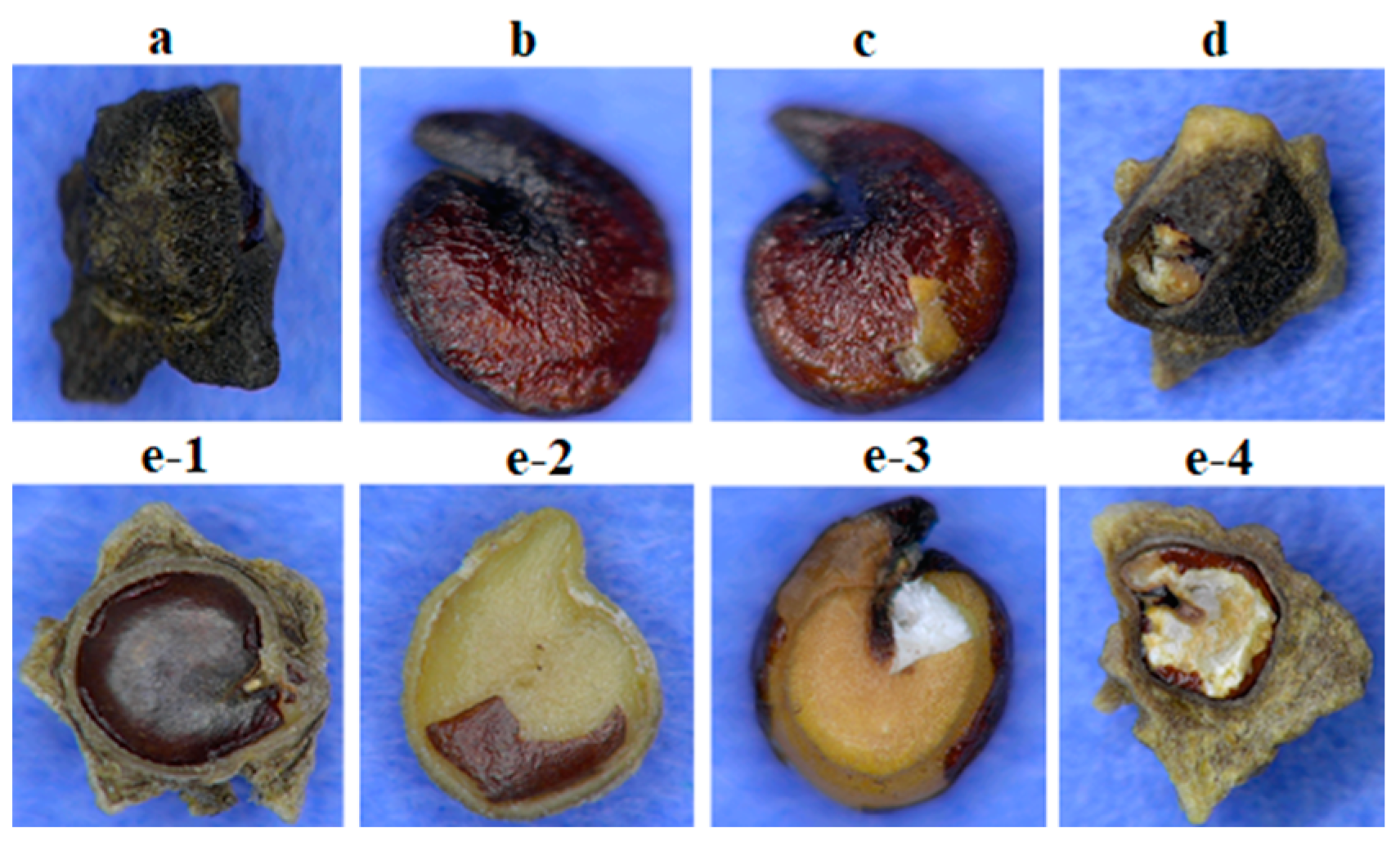 Sensors 19 02360 g001