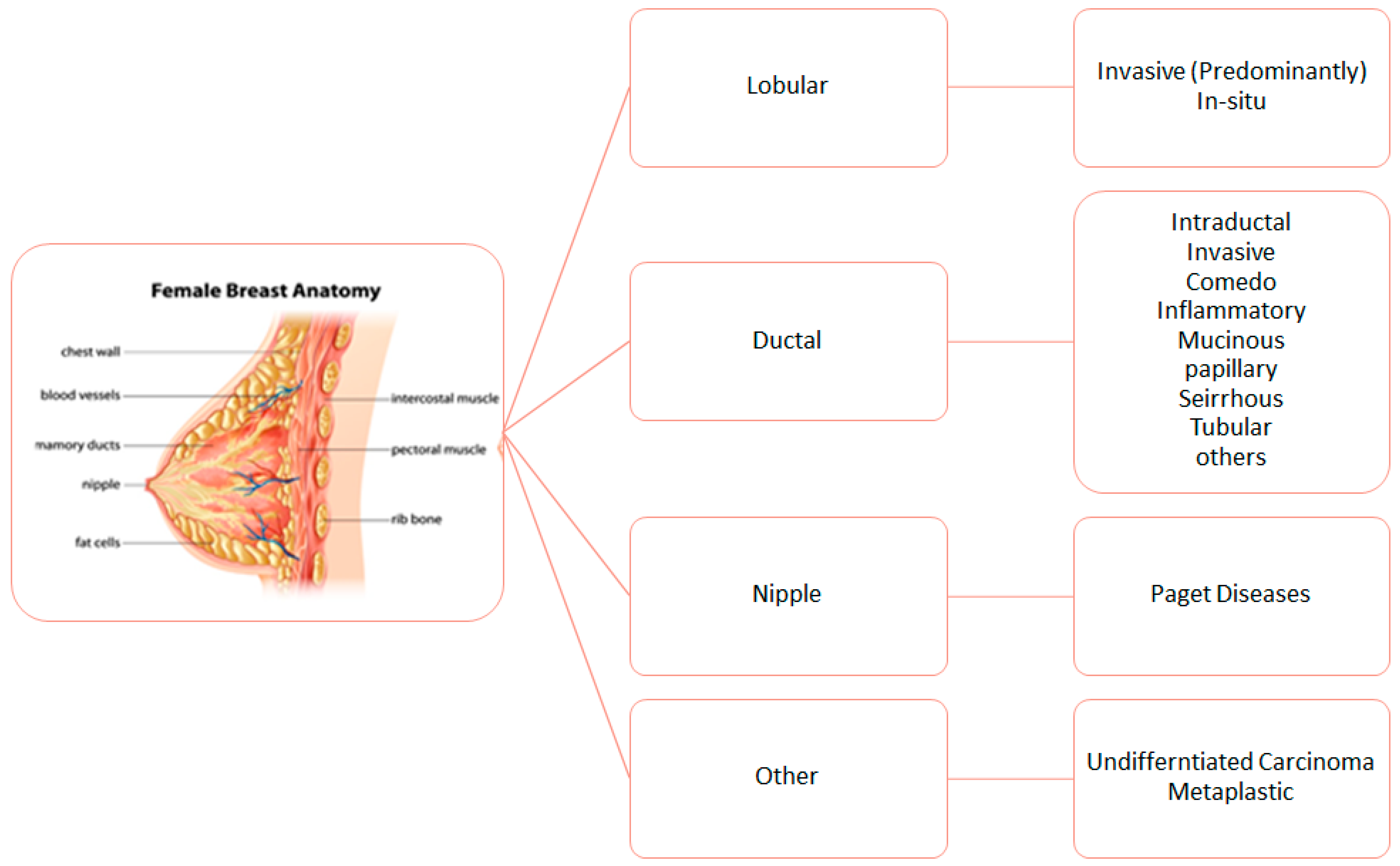 Sensors 19 02373 g003 Sensors 19 02373 g003
