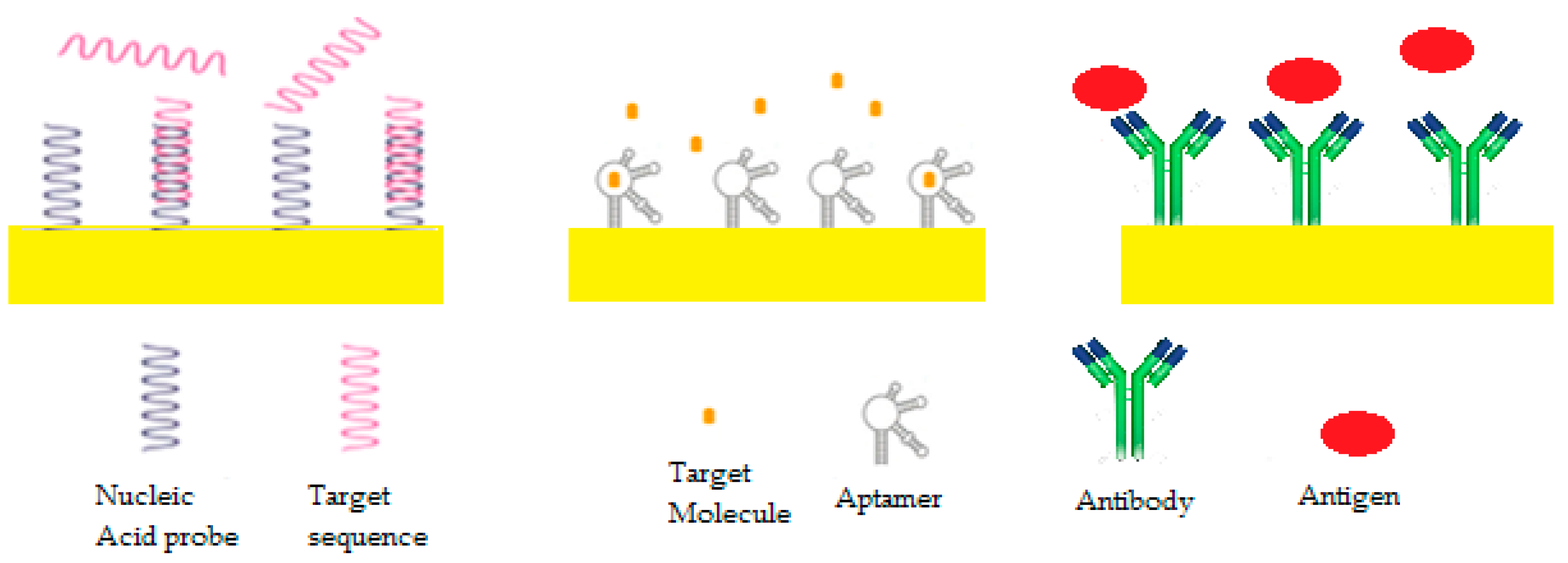 Sensors 19 02373 g006 Sensors 19 02373 g006
