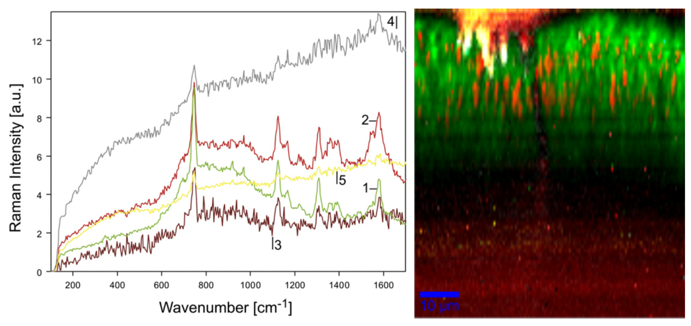 Sensors 19 02387 g009