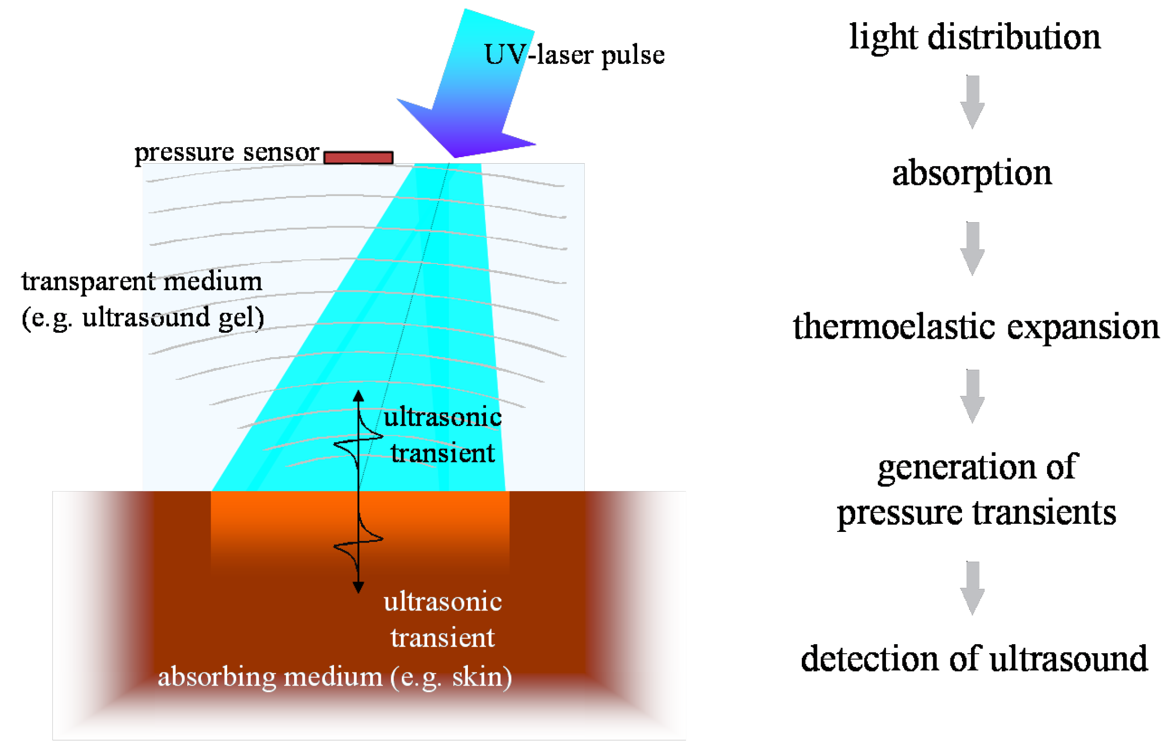 Sensors 19 02387 g016