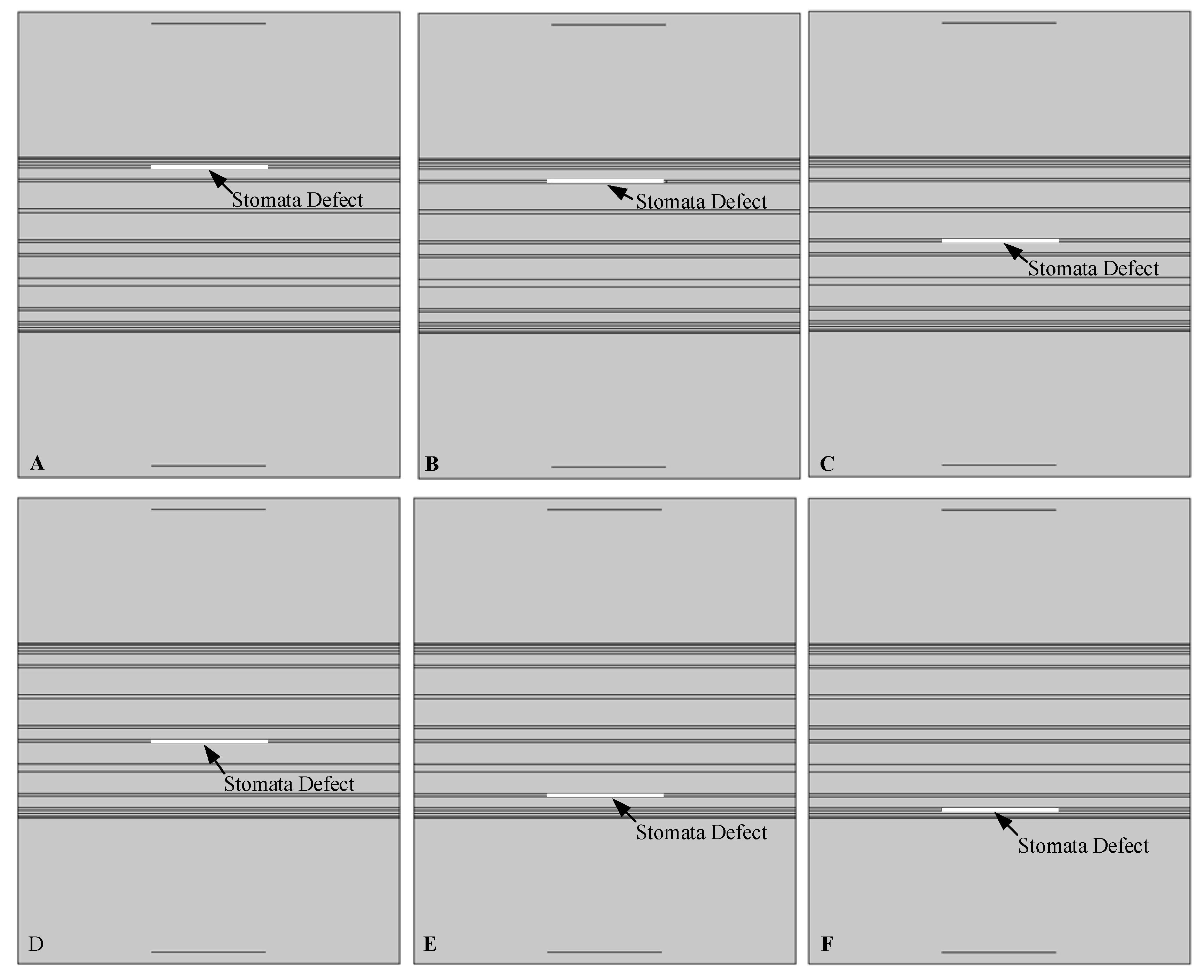 Sensors 19 02391 g007 Sensors 19 02391 g007