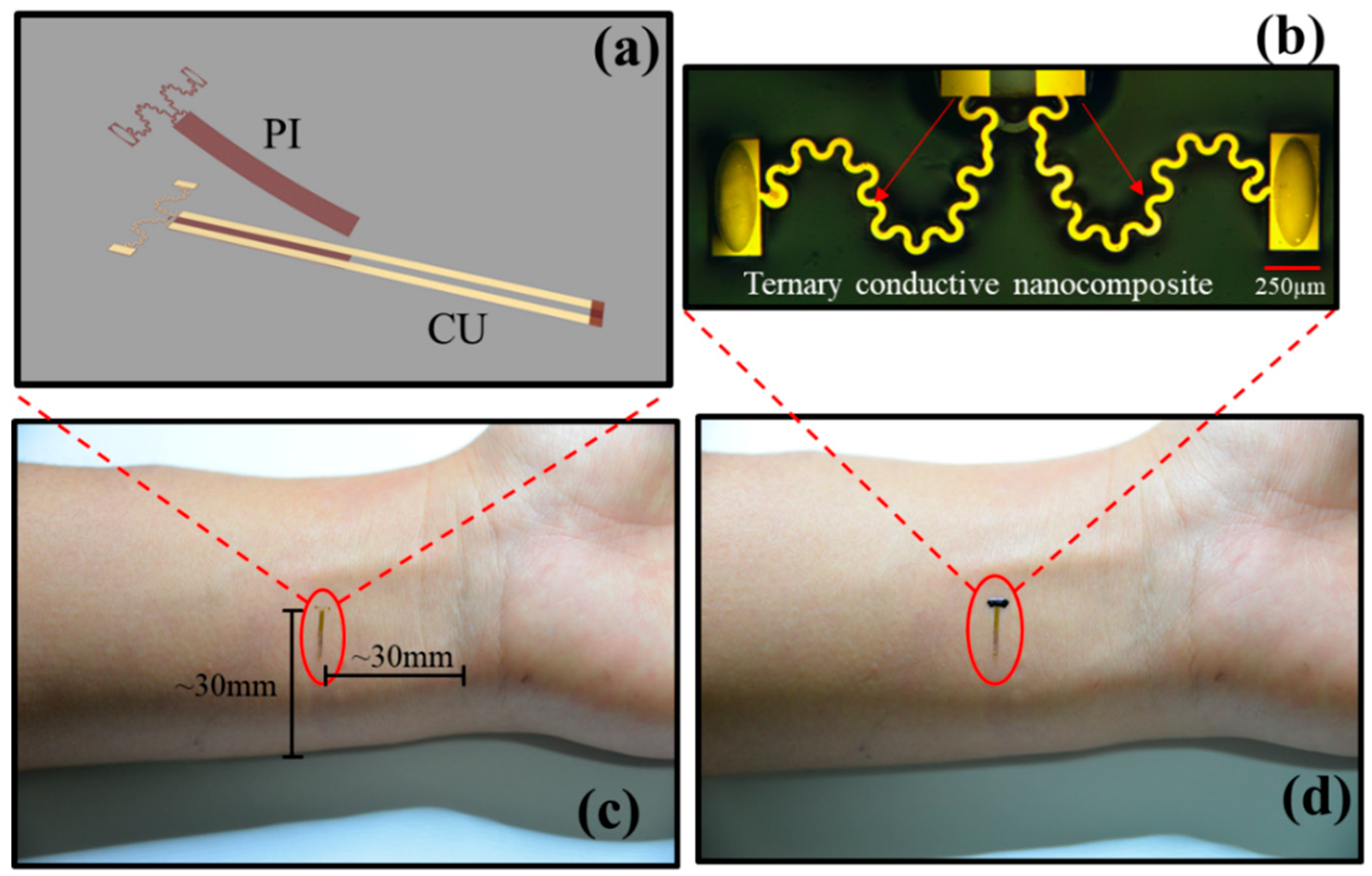 Sensors 19 02442 g001 Sensors 19 02442 g001