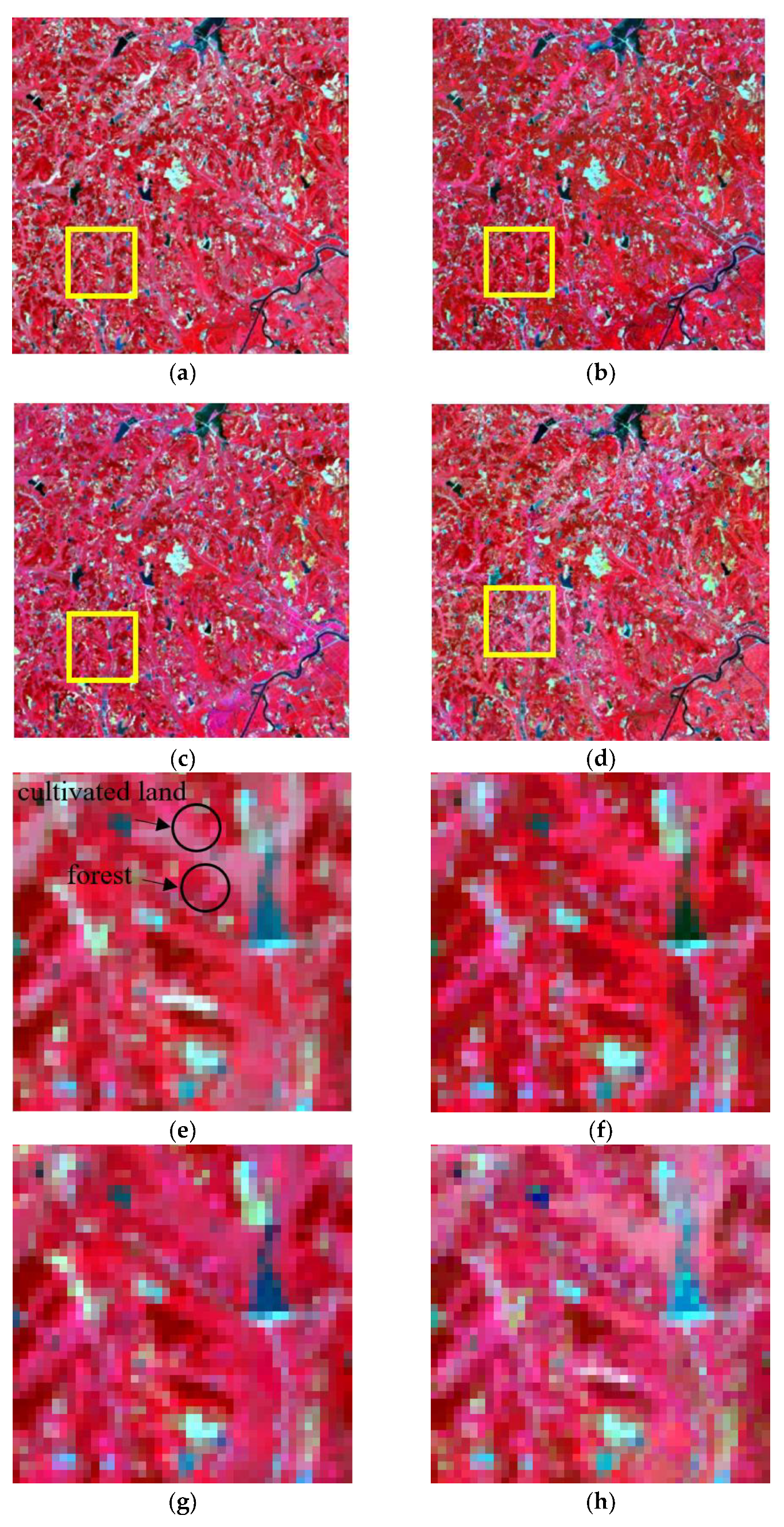 Sensors 19 02443 g014