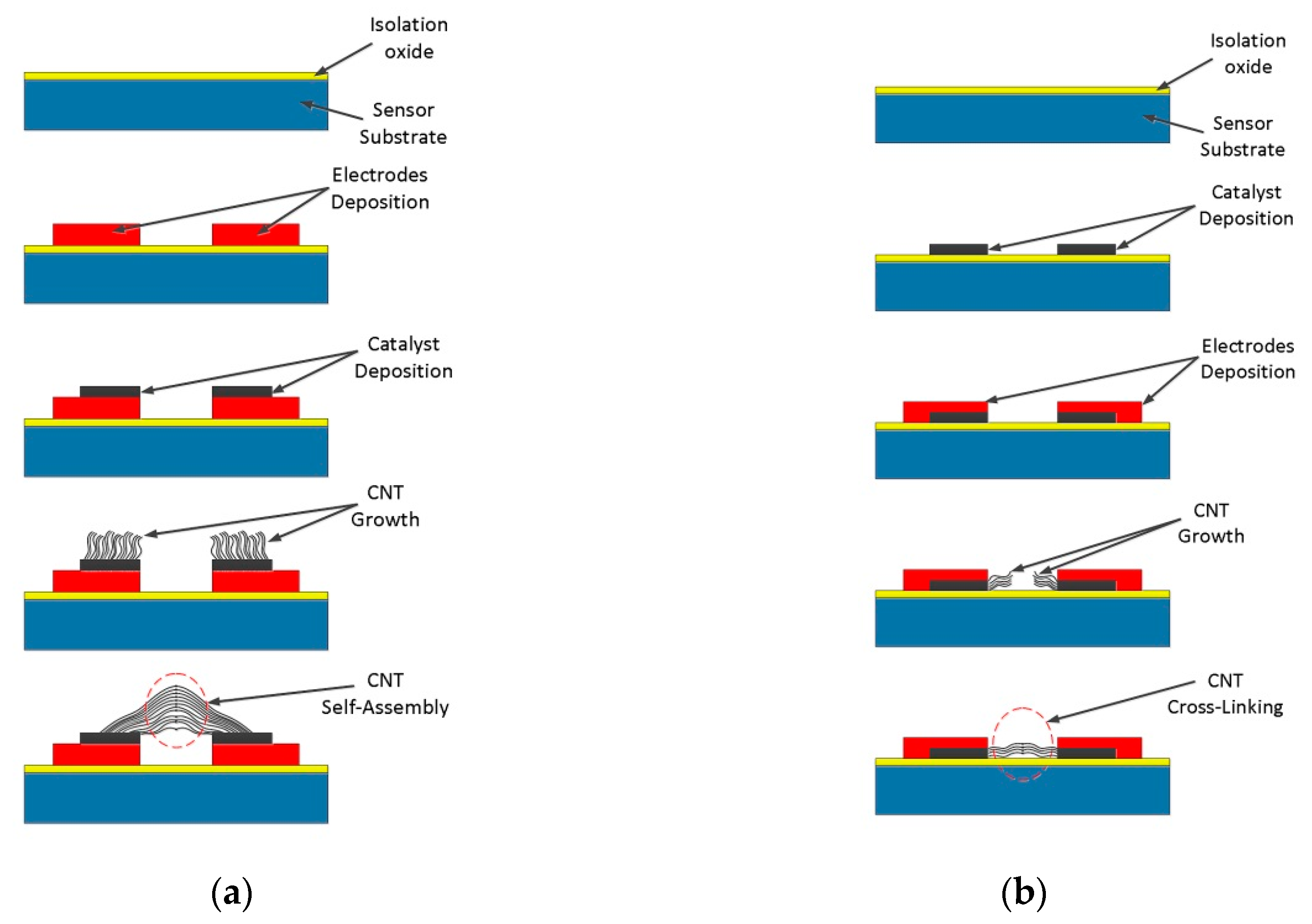 Sensors Free FullText Carbon Nanotubes and Carbon Nanotube