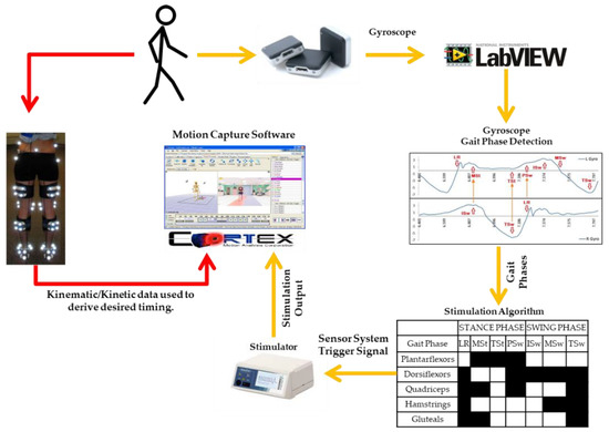 Wearable Sensors Aim To Capture Autism >> Sensors Special Issue Wearable Sensors For Gait And Motion Wearable Sensors Aim To Capture Autism >> Sensors Special Issue Wearable Sensors For Gait And Motion