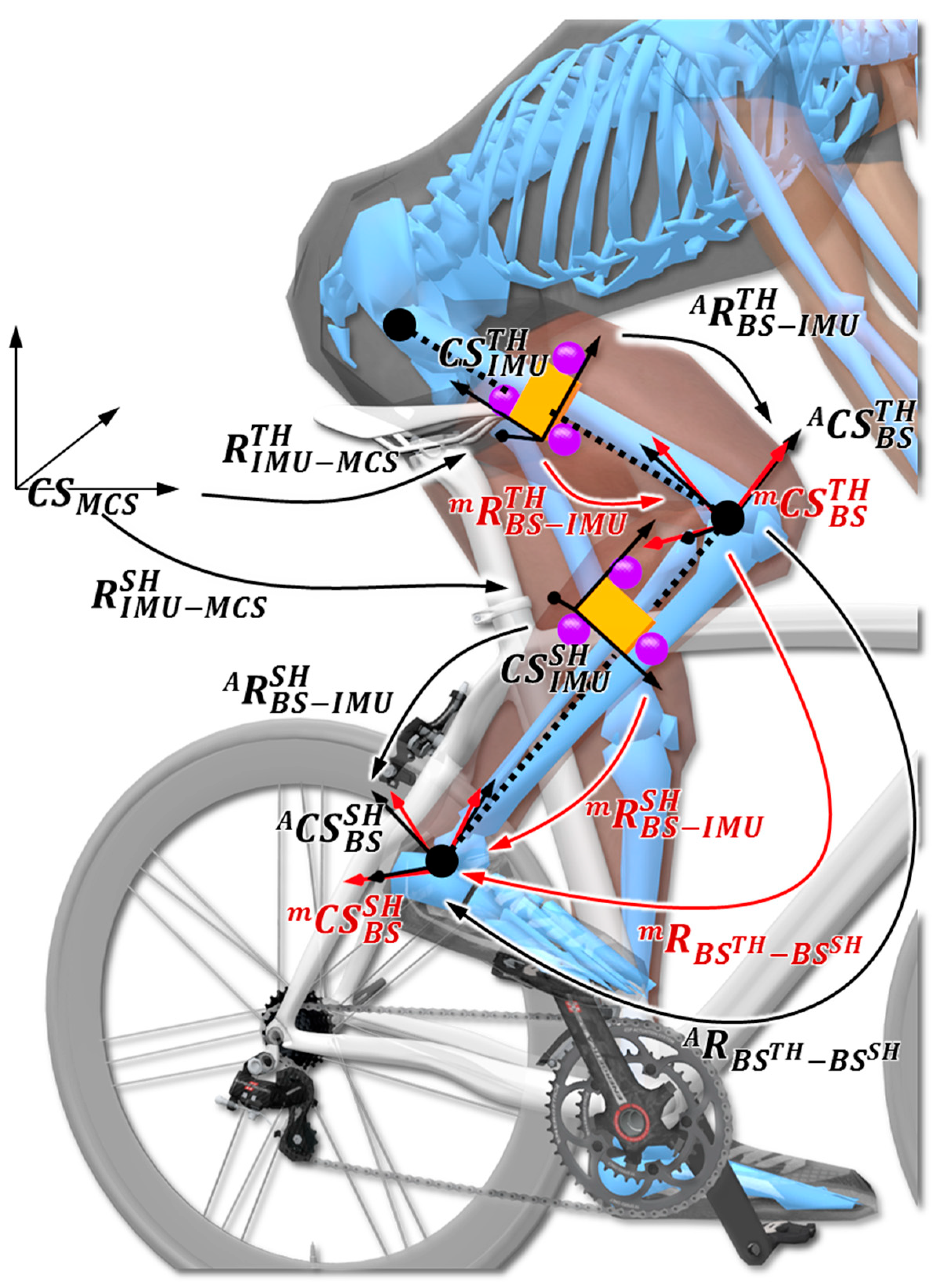 Cycling'S Privacy Crisis: The Specialized Data Breach - dp8umdl