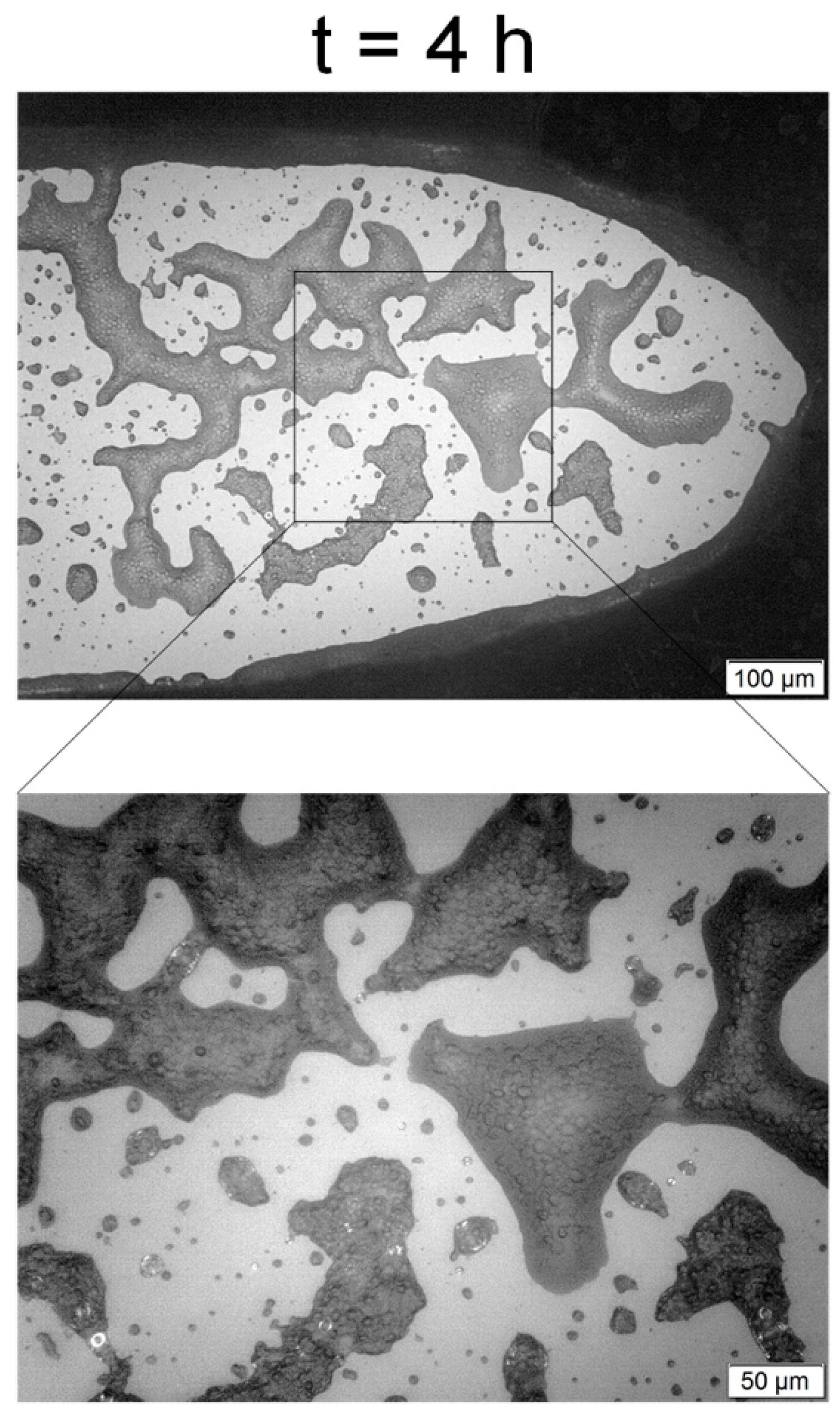 Sensors 19 02493 g005 Sensors 19 02493 g005