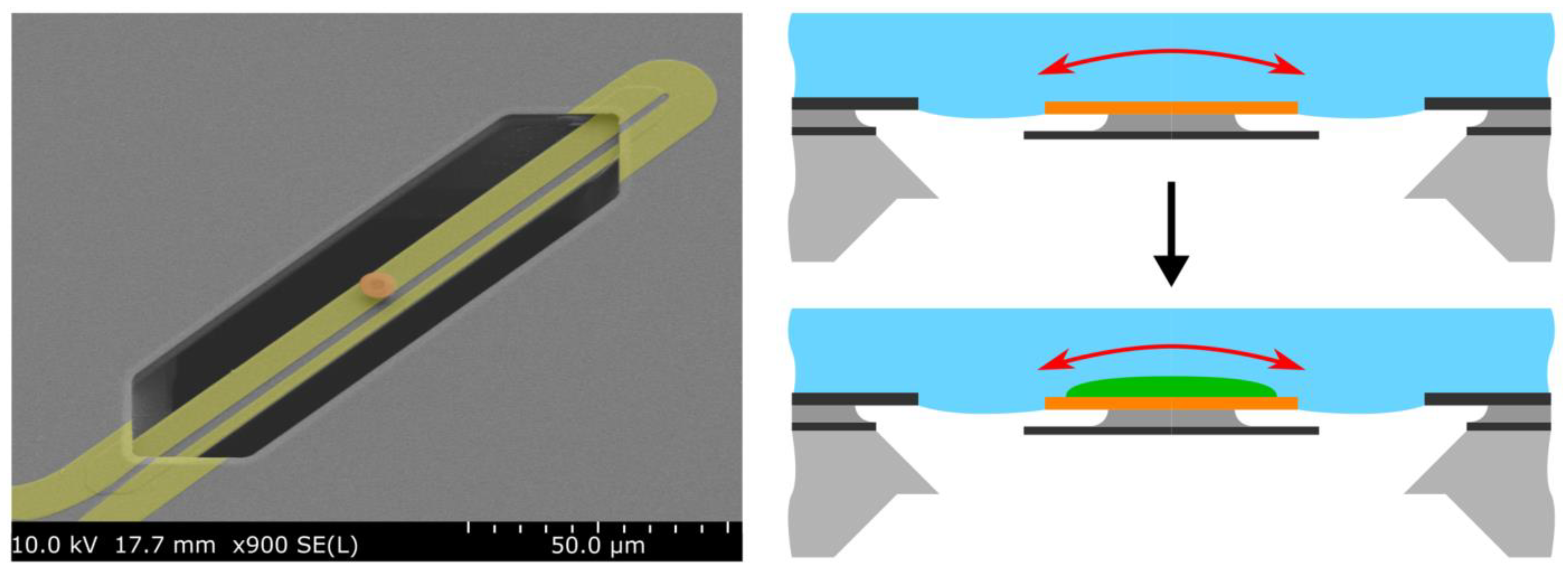 Sensors 19 02494 g001 Sensors 19 02494 g001