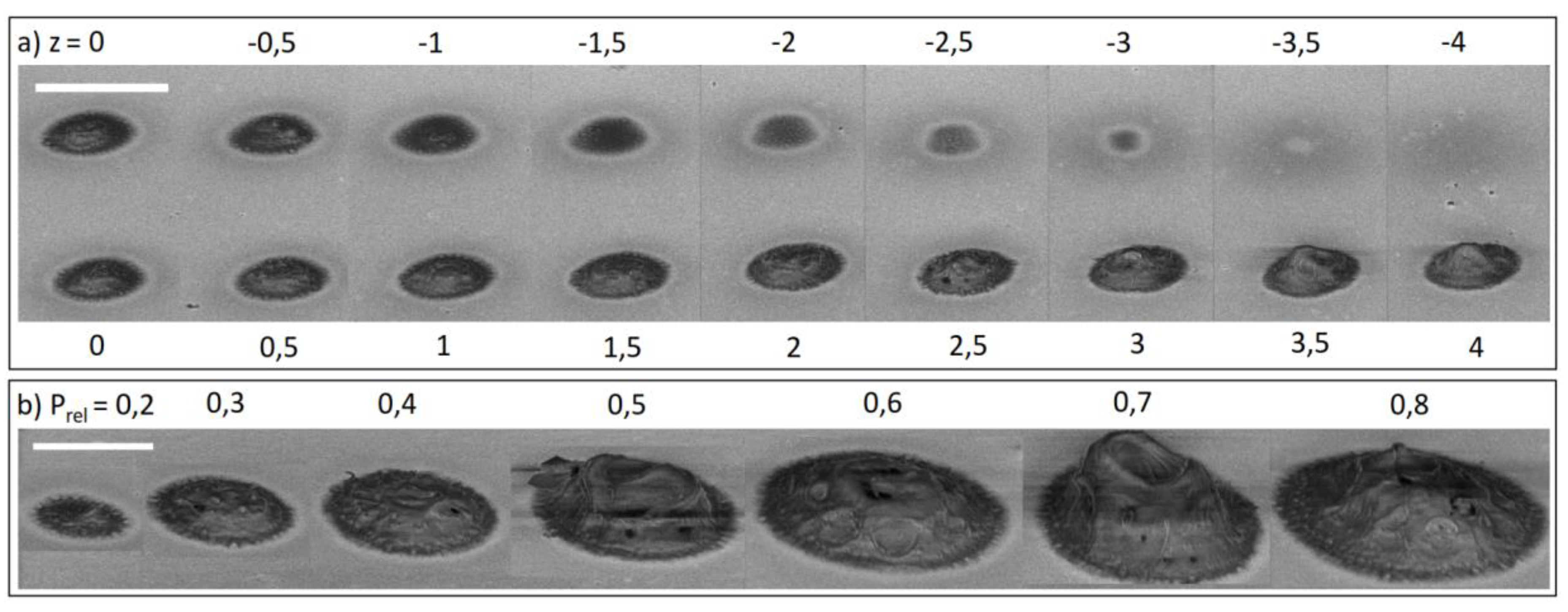 Sensors 19 02494 g004 Sensors 19 02494 g004