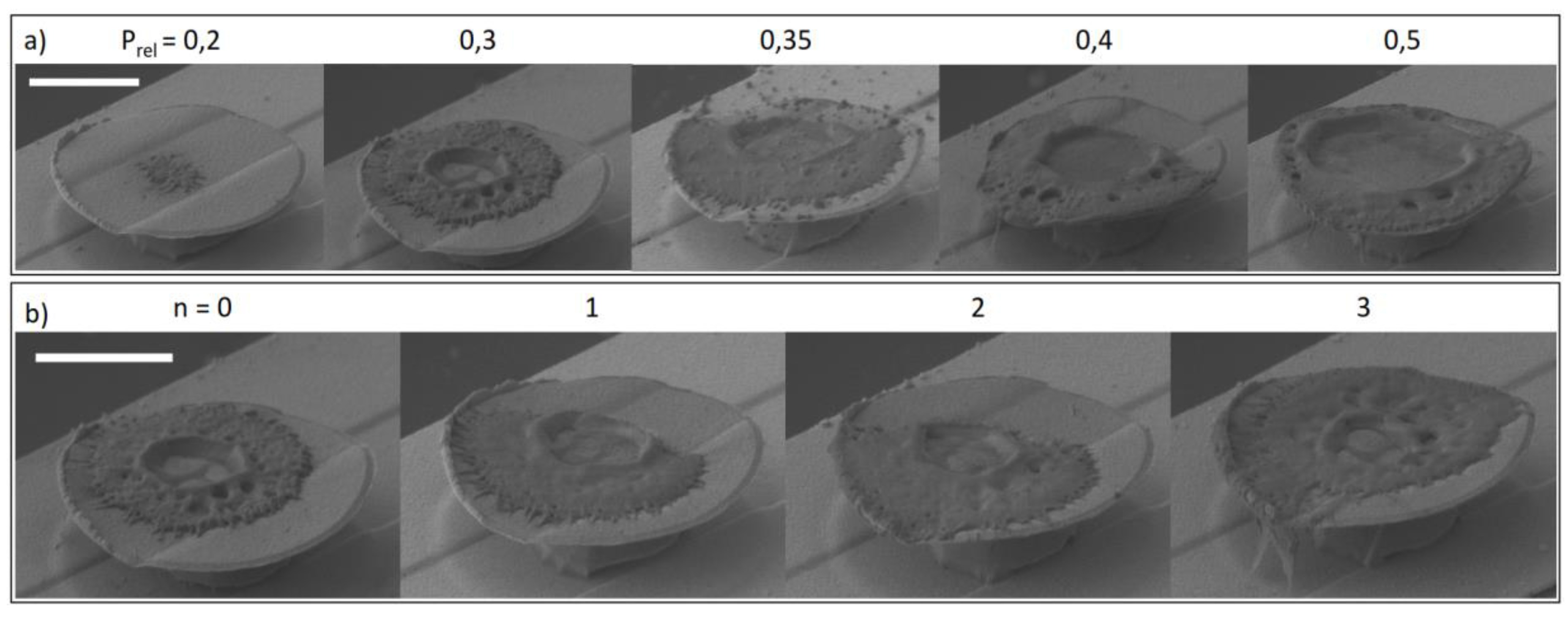 Sensors 19 02494 g005 Sensors 19 02494 g005