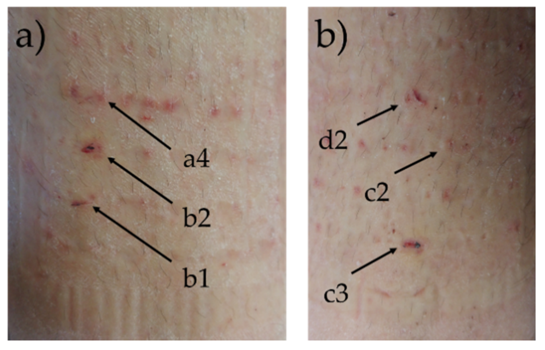 Sensors 19 02505 g004