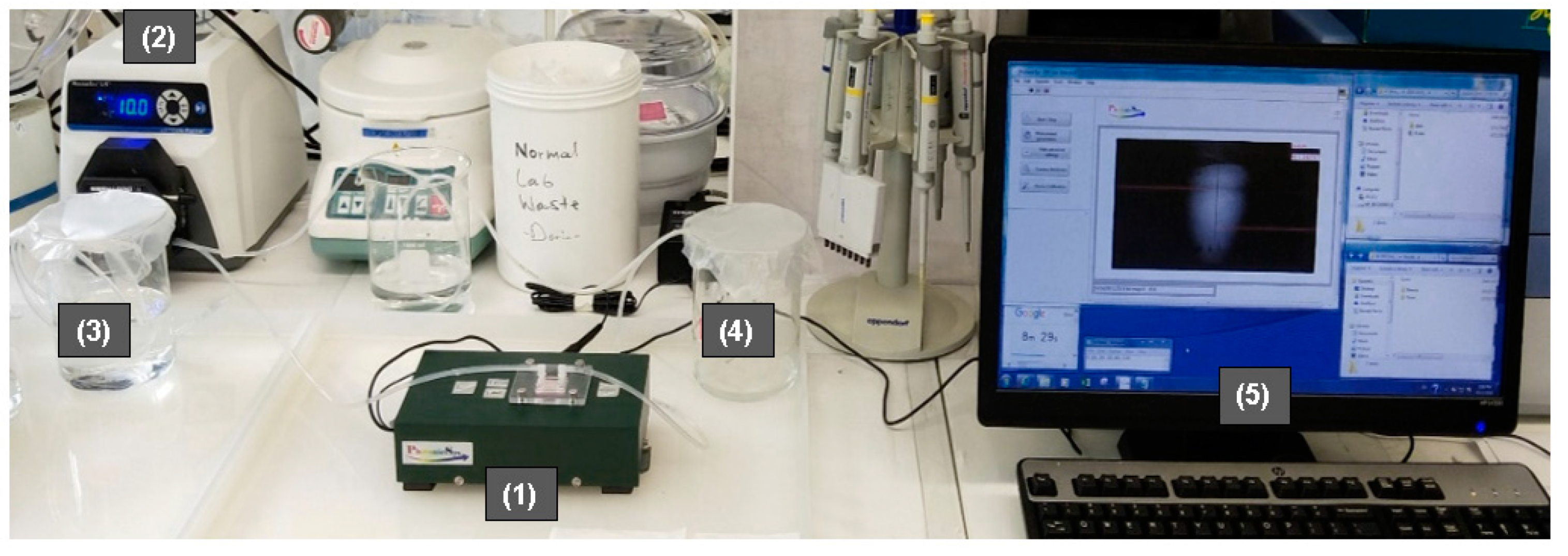 Sensors 19 02533 g005