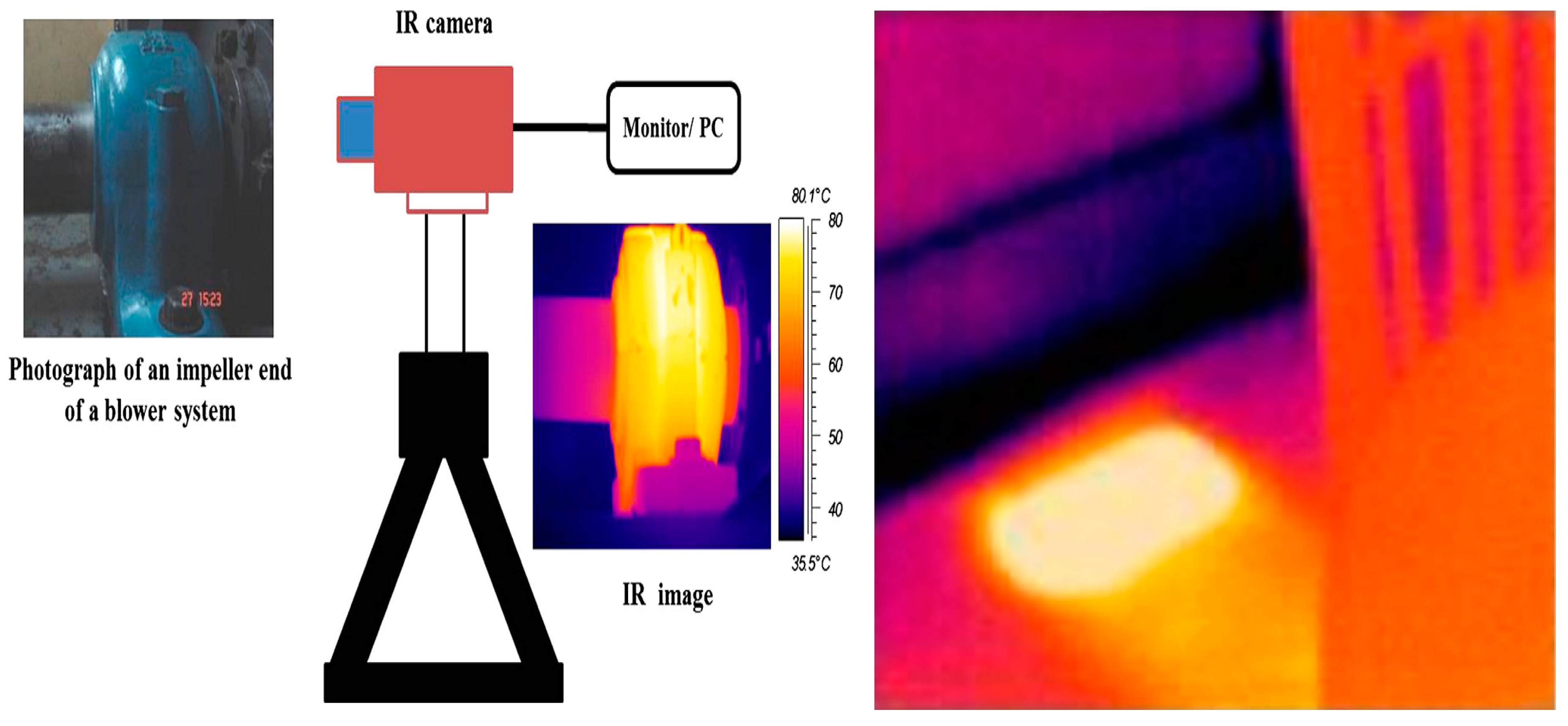 Sensors 19 02548 g006