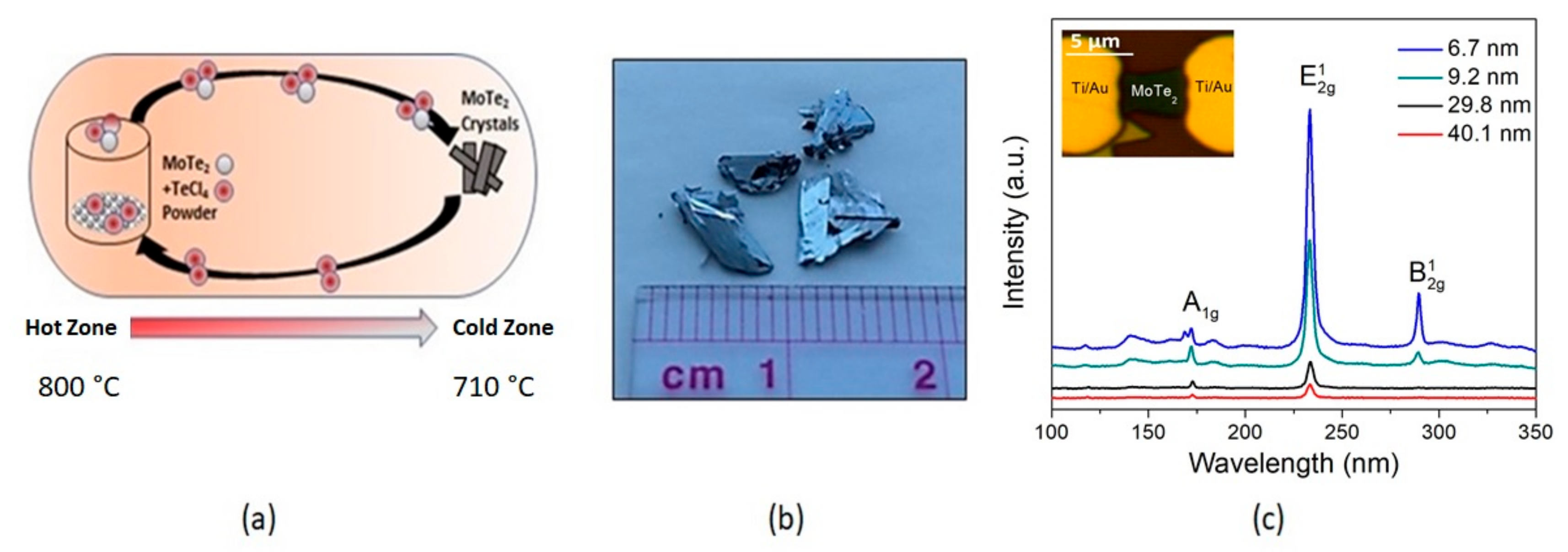Sensors 19 02551 g001