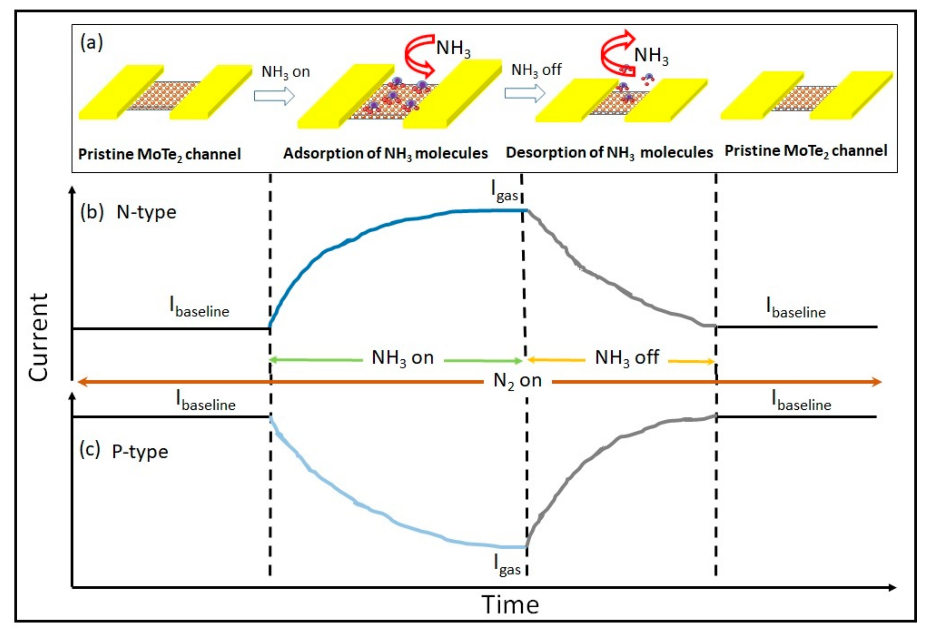 Sensors 19 02551 g006