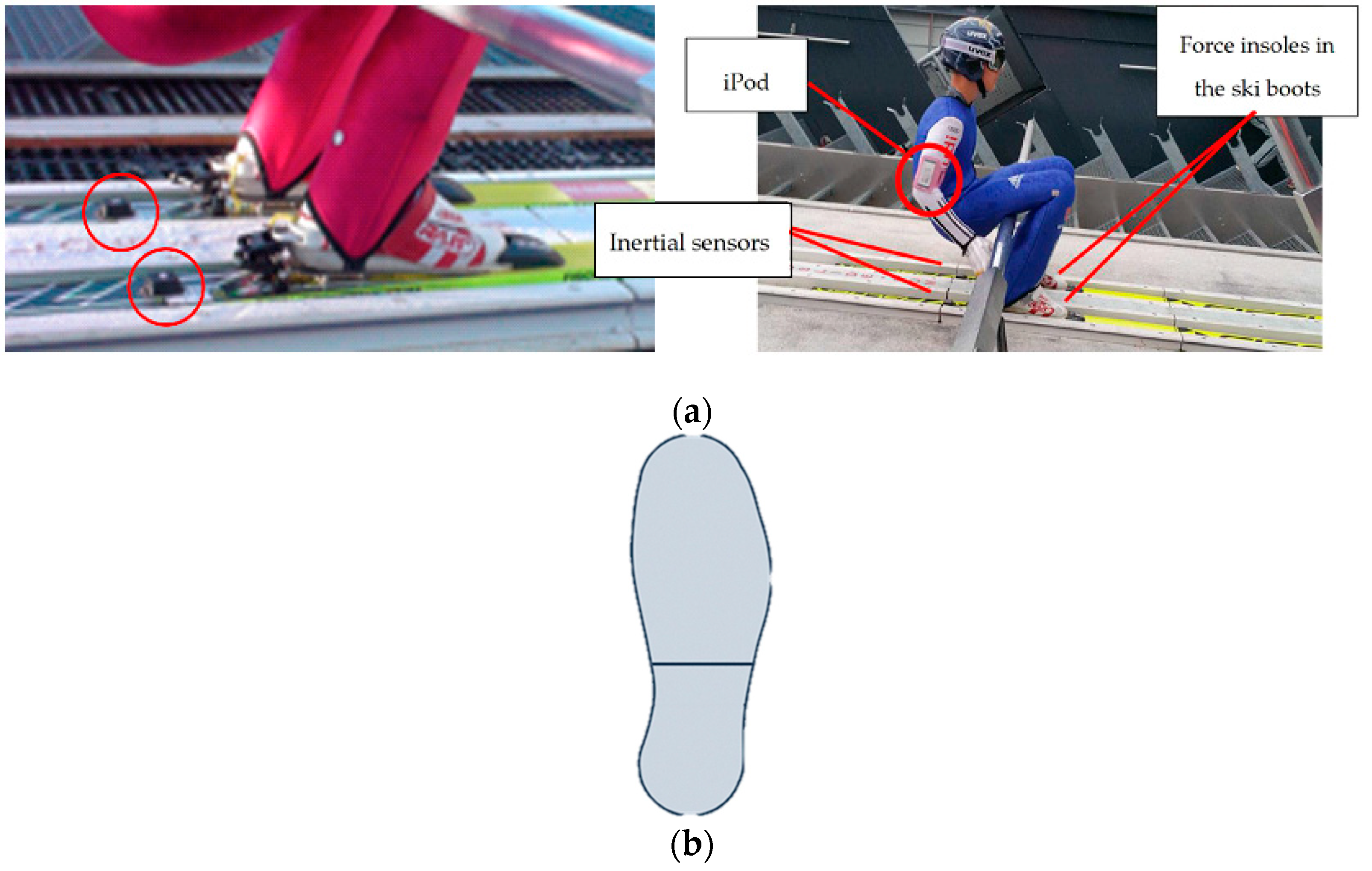Sensors Free Full-Text Ski Position during the Flight and Landing Preparation Phases in Ski Jumping Detected with Inertial Sensors