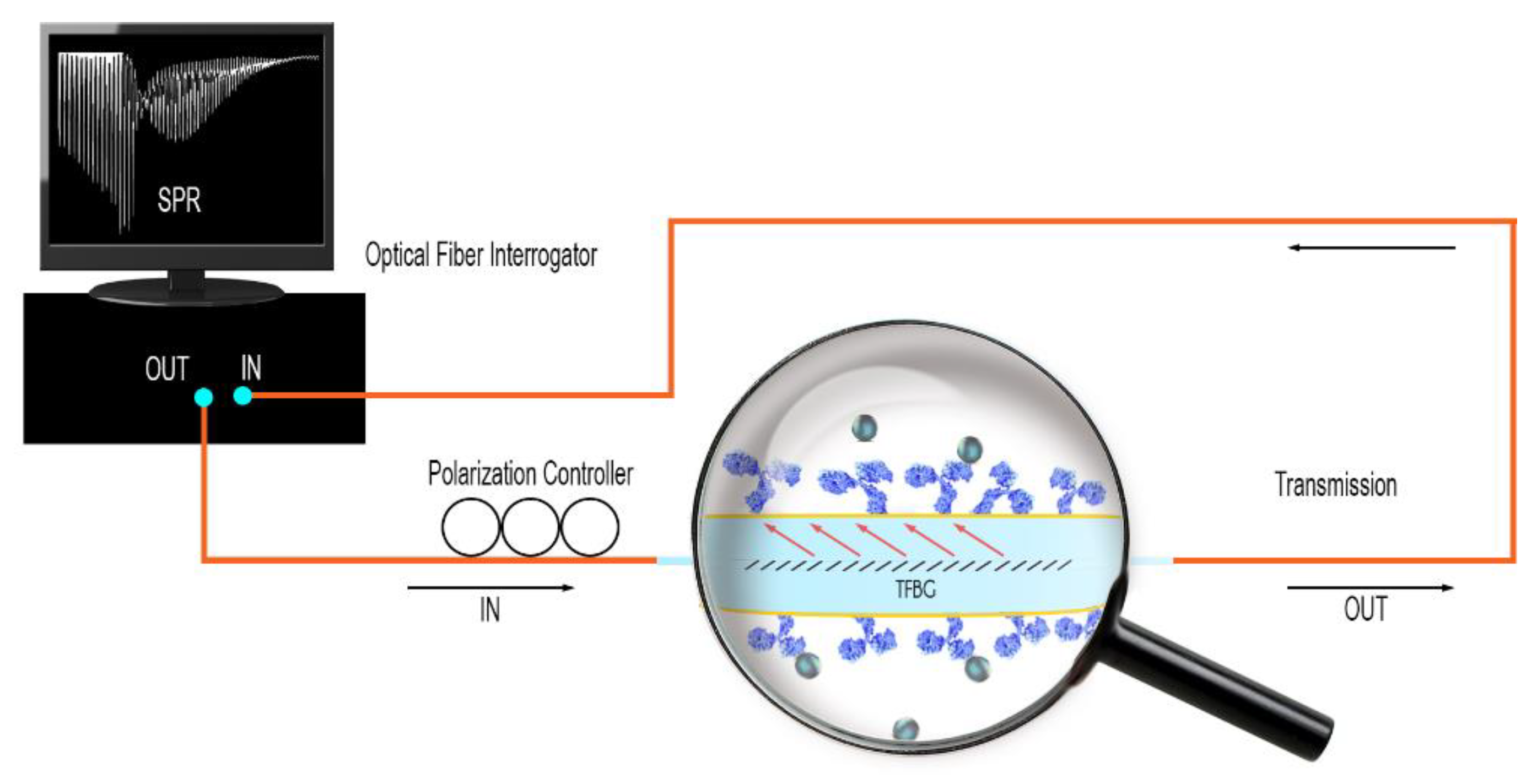Sensors 19 02595 g001 Sensors 19 02595 g001