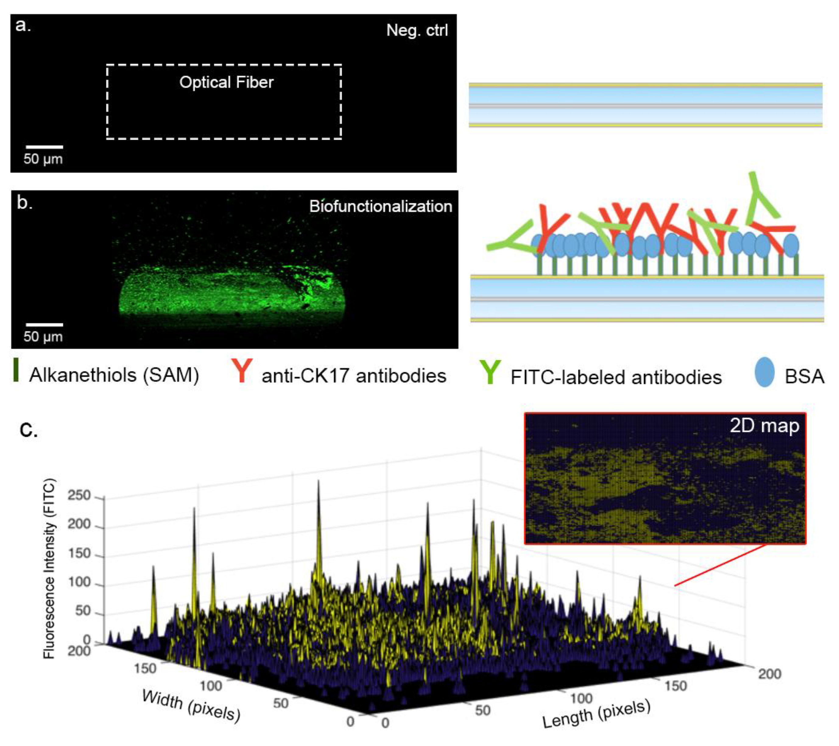 Sensors 19 02595 g006 Sensors 19 02595 g006
