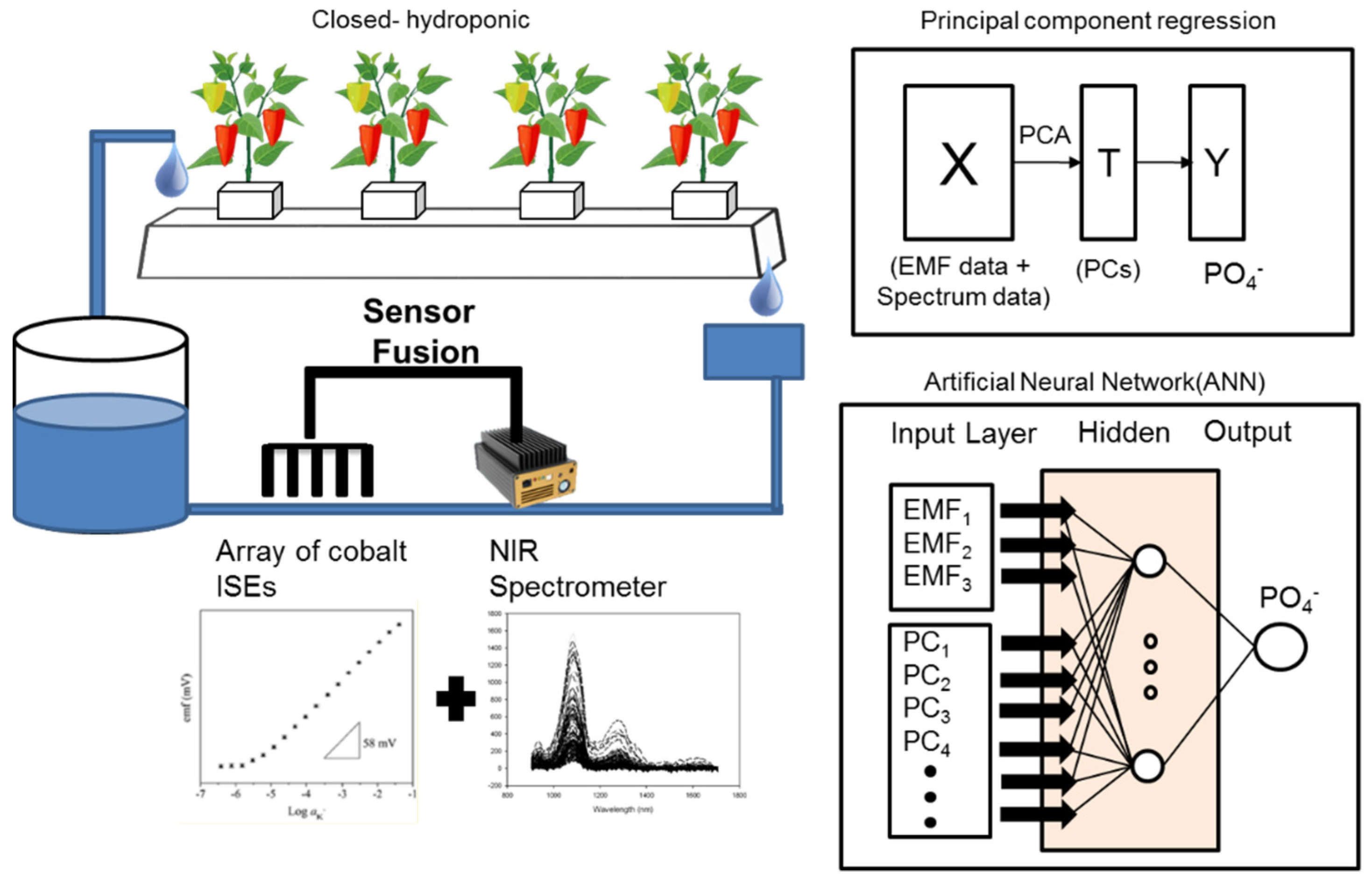 Sensors 19 02596 g001 Sensors 19 02596 g001