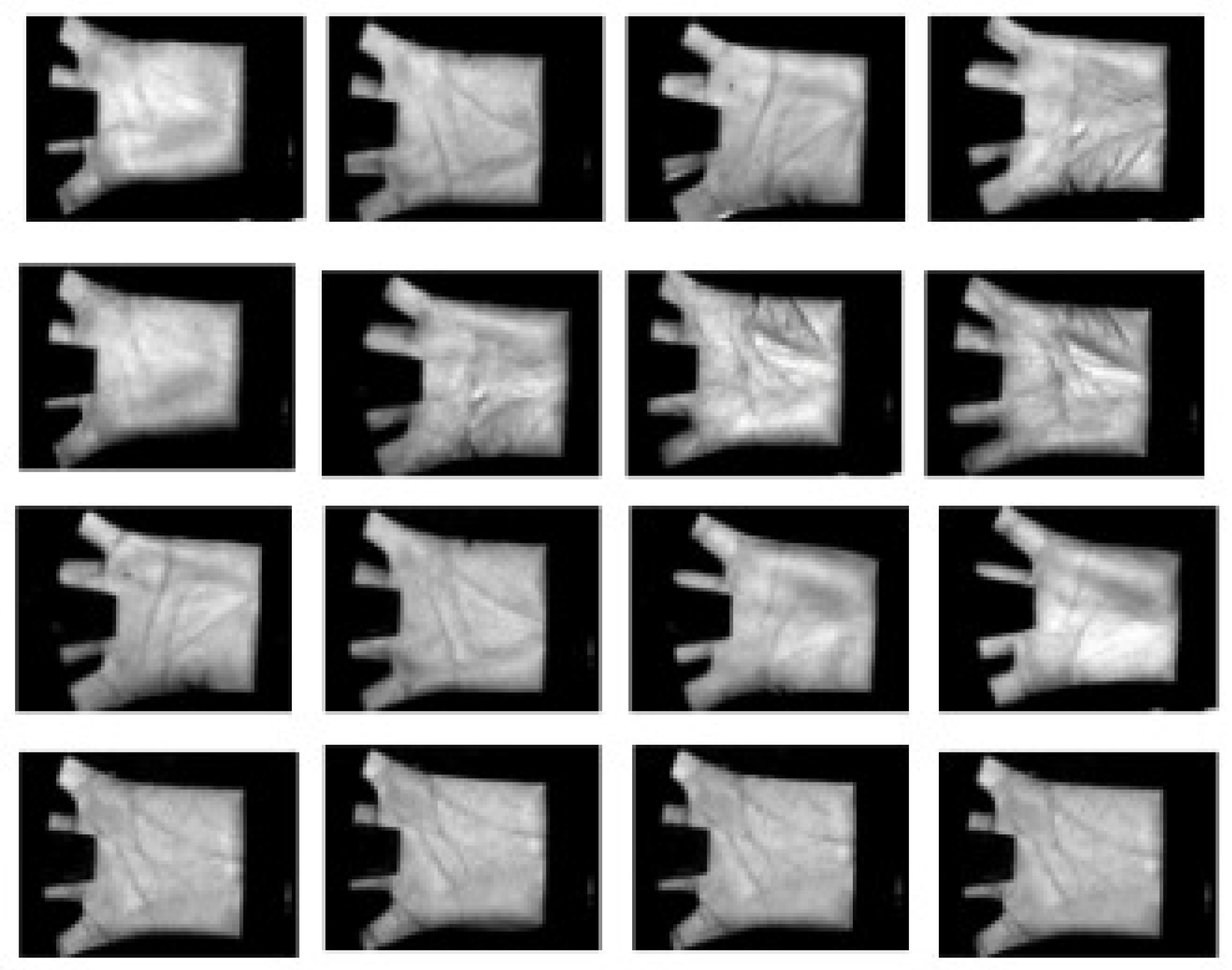 Sensors 19 02609 g006 550